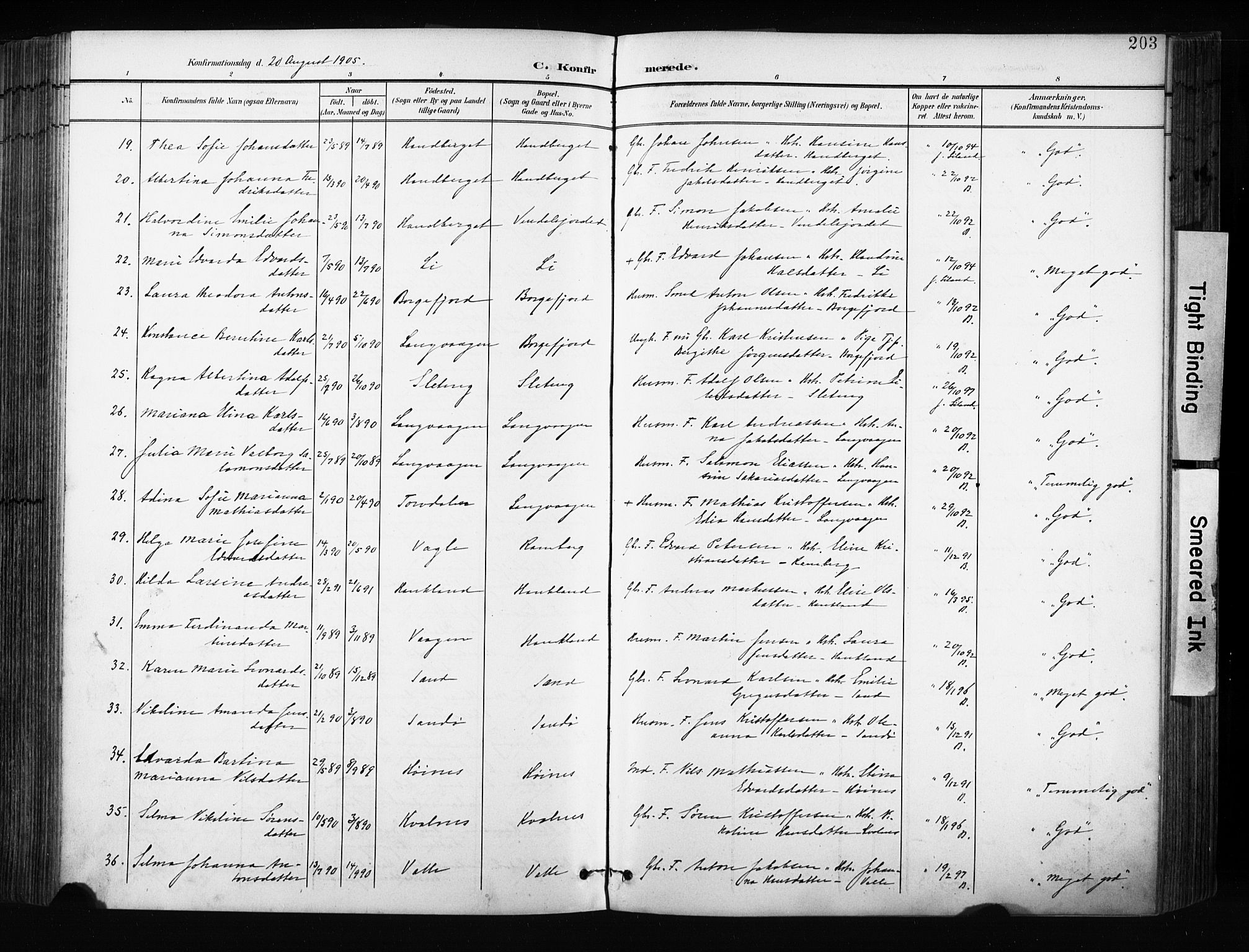 Ministerialprotokoller, klokkerbøker og fødselsregistre - Nordland, AV/SAT-A-1459/880/L1134: Ministerialbok nr. 880A08, 1899-1908, s. 203