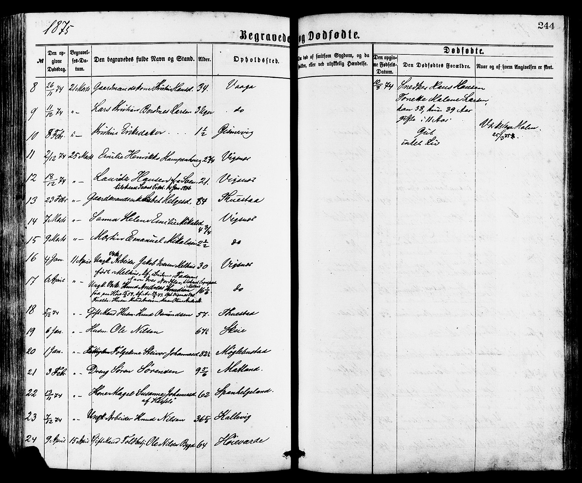 Avaldsnes sokneprestkontor, AV/SAST-A -101851/H/Ha/Haa/L0012: Ministerialbok nr. A 12, 1865-1880, s. 244