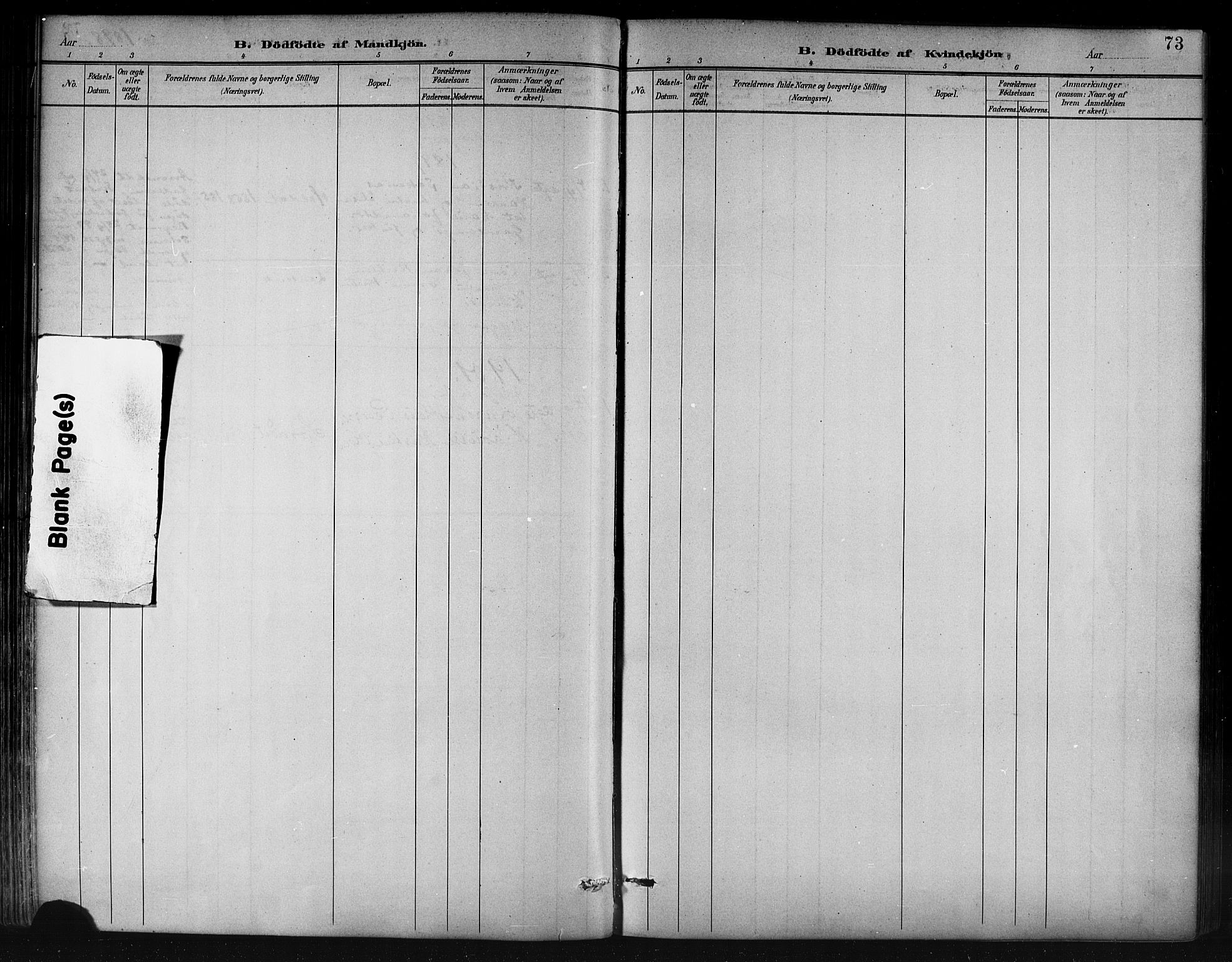 Ministerialprotokoller, klokkerbøker og fødselsregistre - Nordland, AV/SAT-A-1459/858/L0831: Ministerialbok nr. 858A01, 1884-1902, s. 73