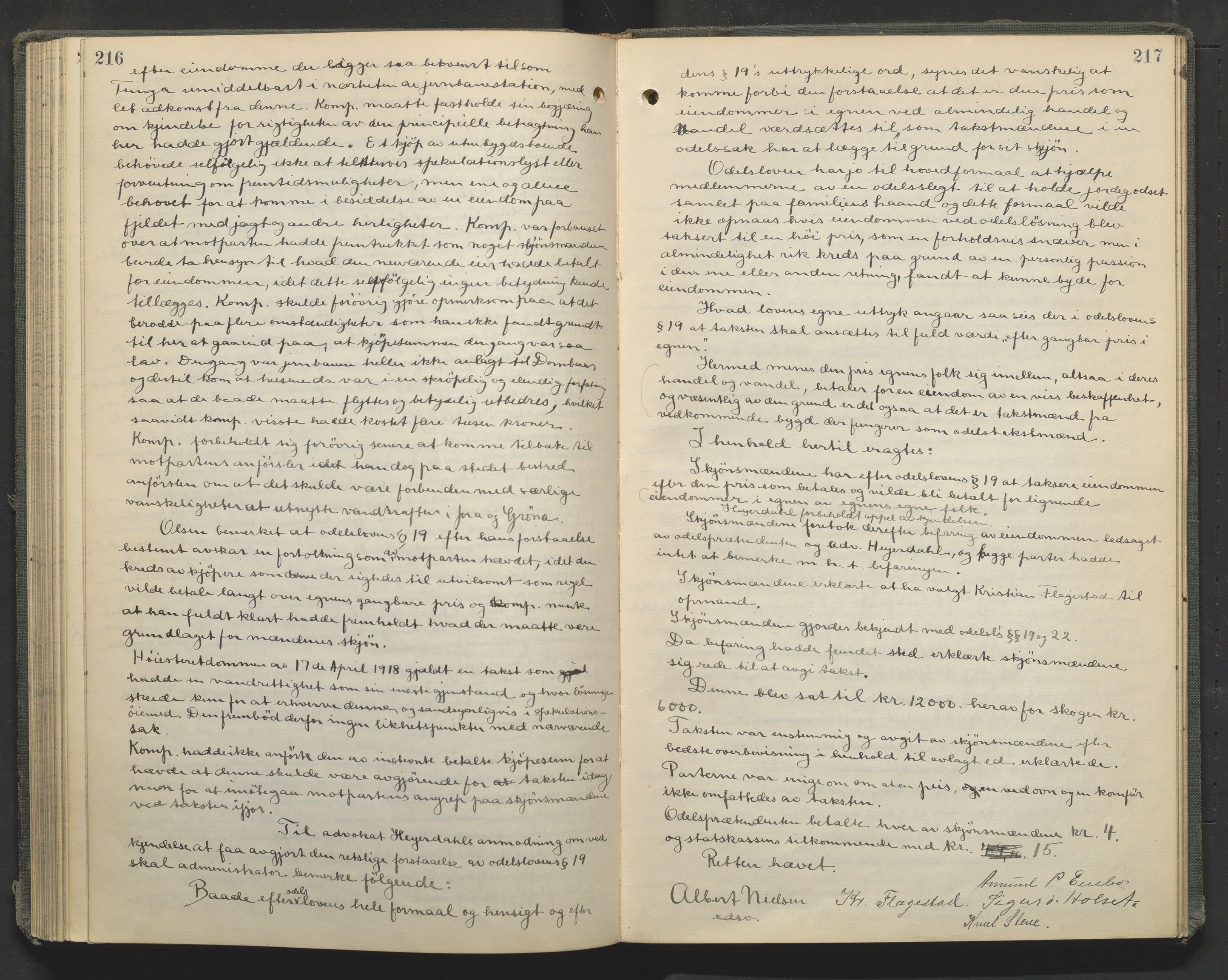 Nord-Gudbrandsdal tingrett, AV/SAH-TING-002/G/Gc/Gcb/L0010: Ekstrarettsprotokoll for åstedssaker, 1913-1920, s. 216-217