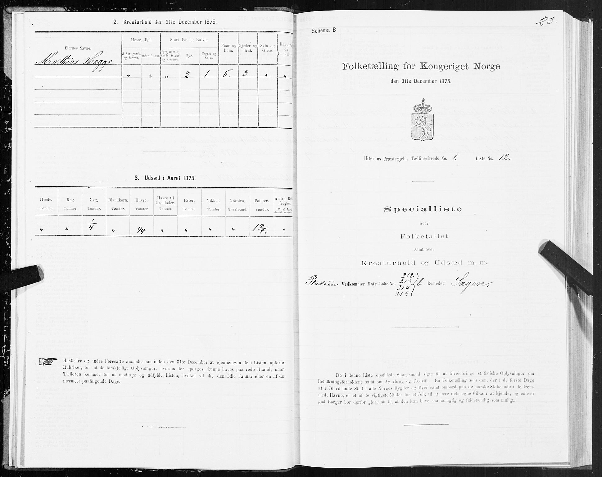 SAT, Folketelling 1875 for 1617P Hitra prestegjeld, 1875, s. 1023