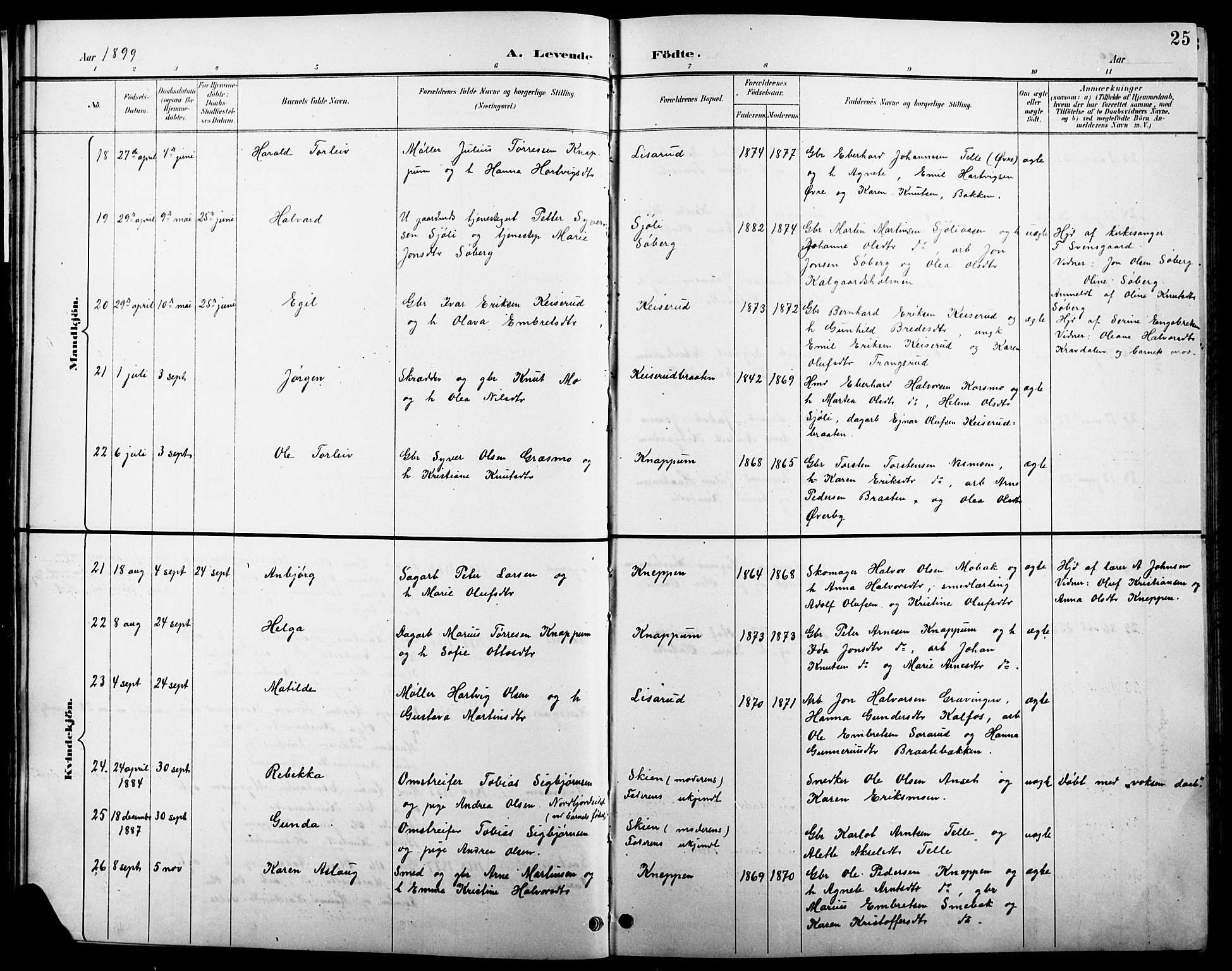 Åsnes prestekontor, AV/SAH-PREST-042/H/Ha/Hab/L0004: Klokkerbok nr. 4, 1895-1909, s. 25
