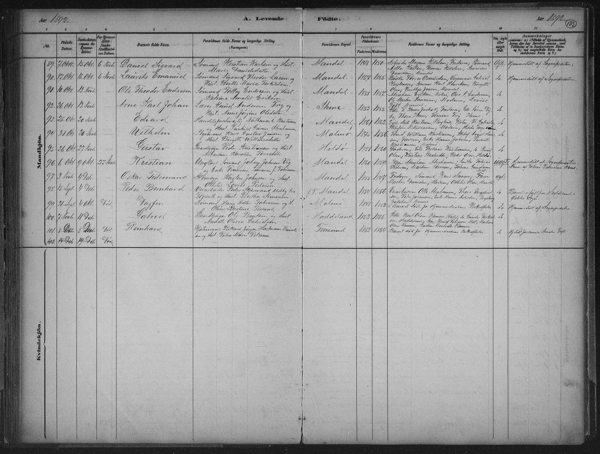 Mandal sokneprestkontor, AV/SAK-1111-0030/F/Fb/Fba/L0011: Klokkerbok nr. B 5, 1880-1898, s. 133