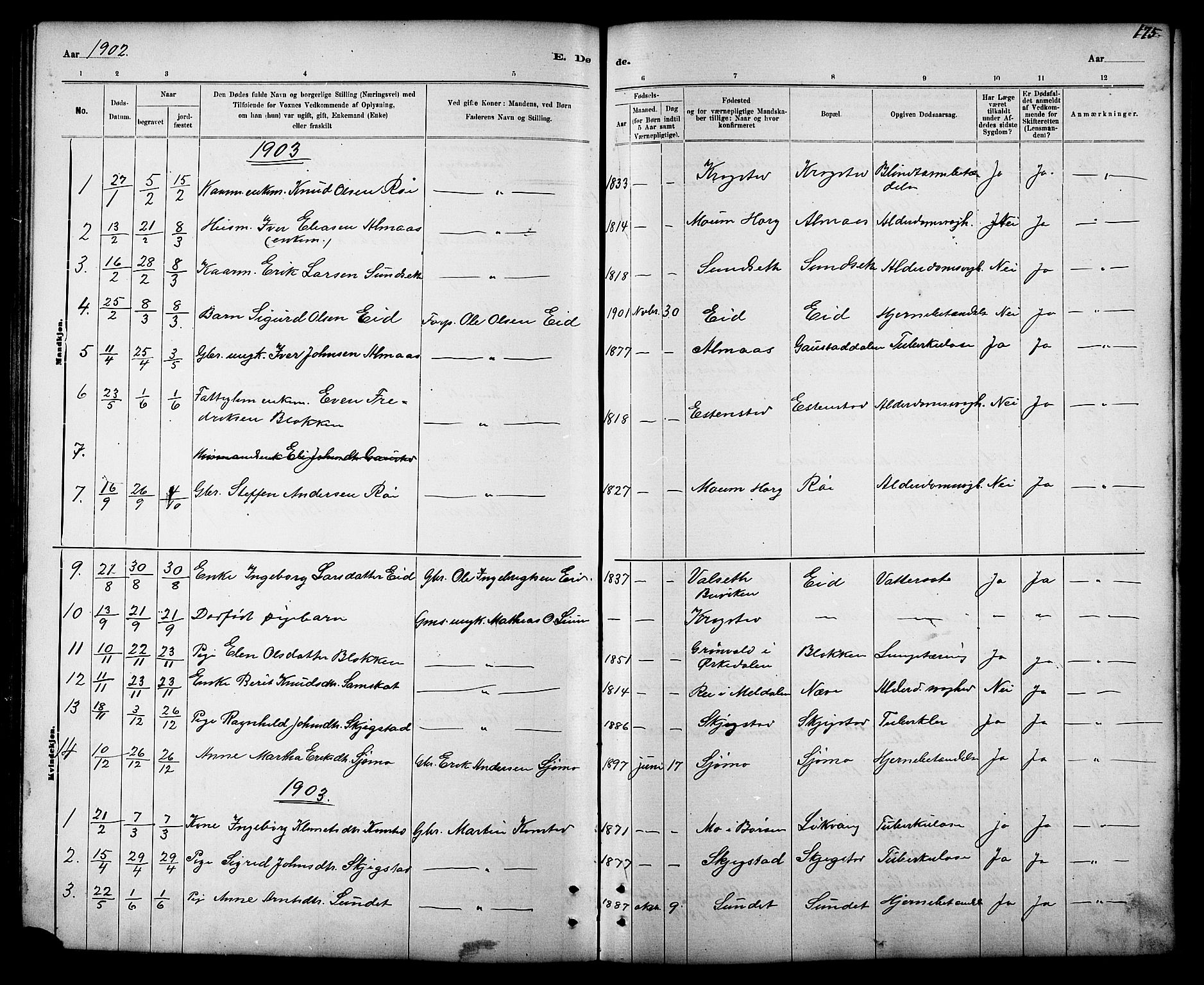 Ministerialprotokoller, klokkerbøker og fødselsregistre - Sør-Trøndelag, SAT/A-1456/694/L1132: Klokkerbok nr. 694C04, 1887-1914, s. 175