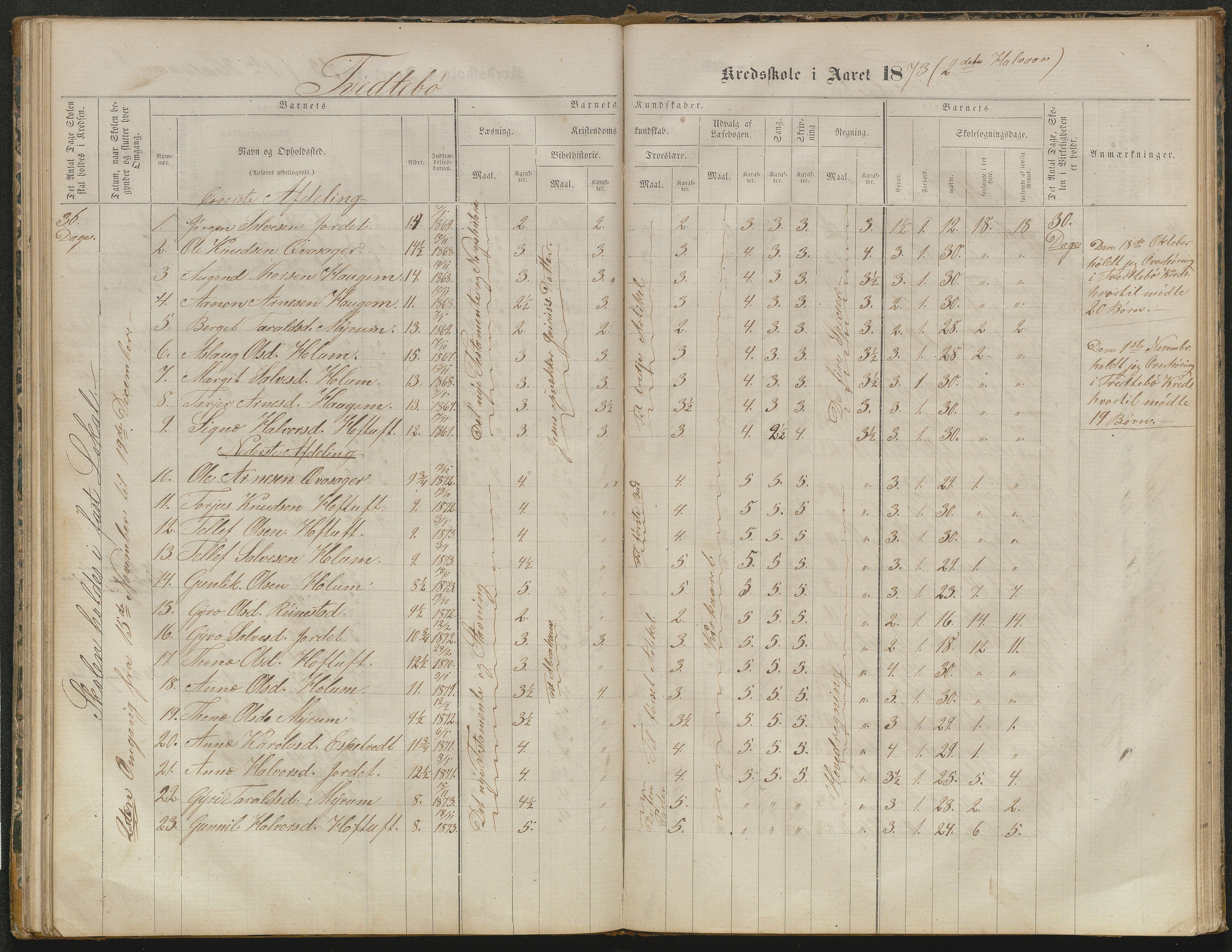 Valle kommune, AAKS/KA0940-PK/03/L0052: Karakterprotokoll for Homme skule. Karakterprotokoll for Oveinang skule. Karakterprotokoll for Tveitebø skule. Karakterprotokoll for den frivillige undervisning i Homme, 1863-1882