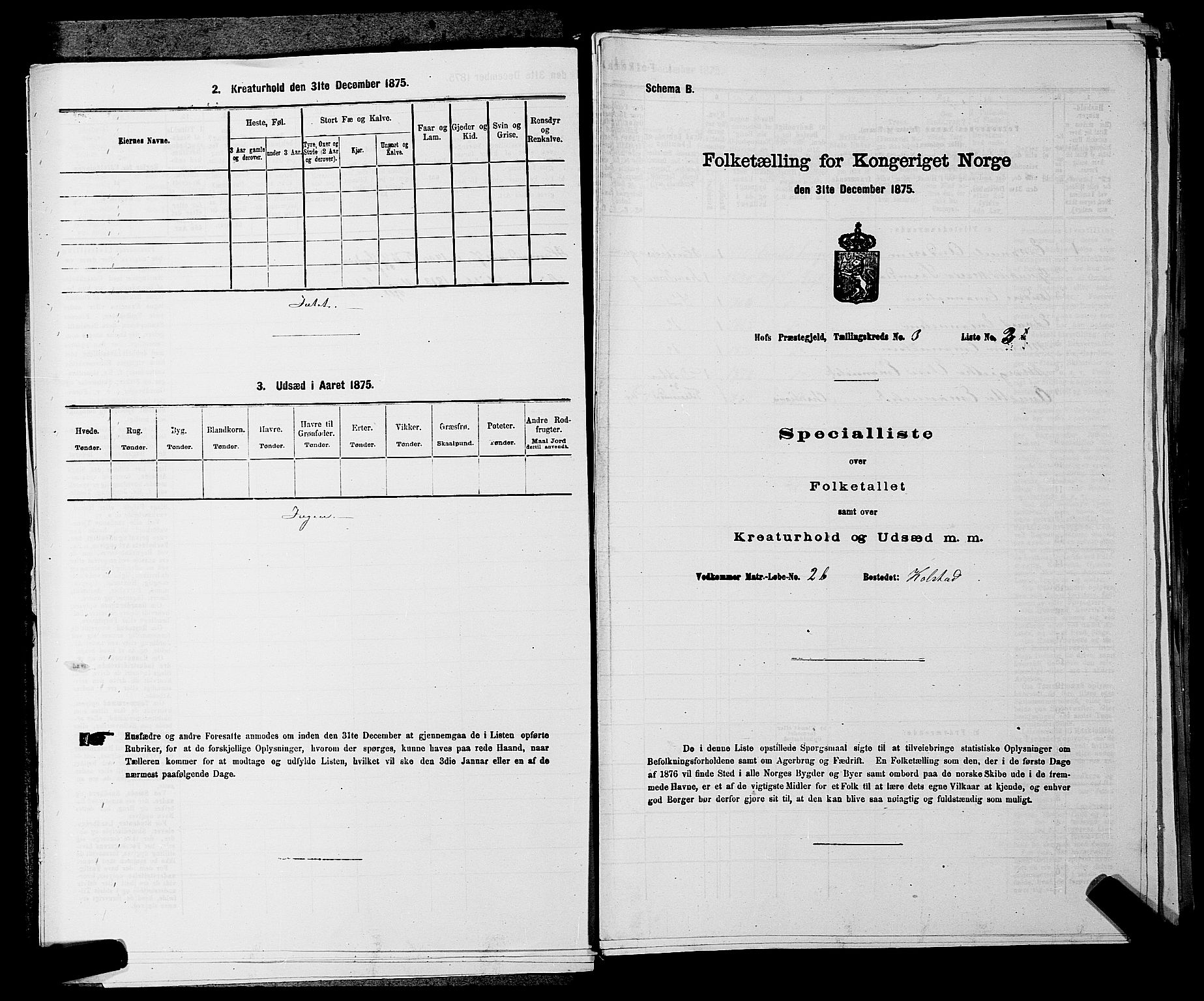 SAKO, Folketelling 1875 for 0714P Hof prestegjeld, 1875, s. 273