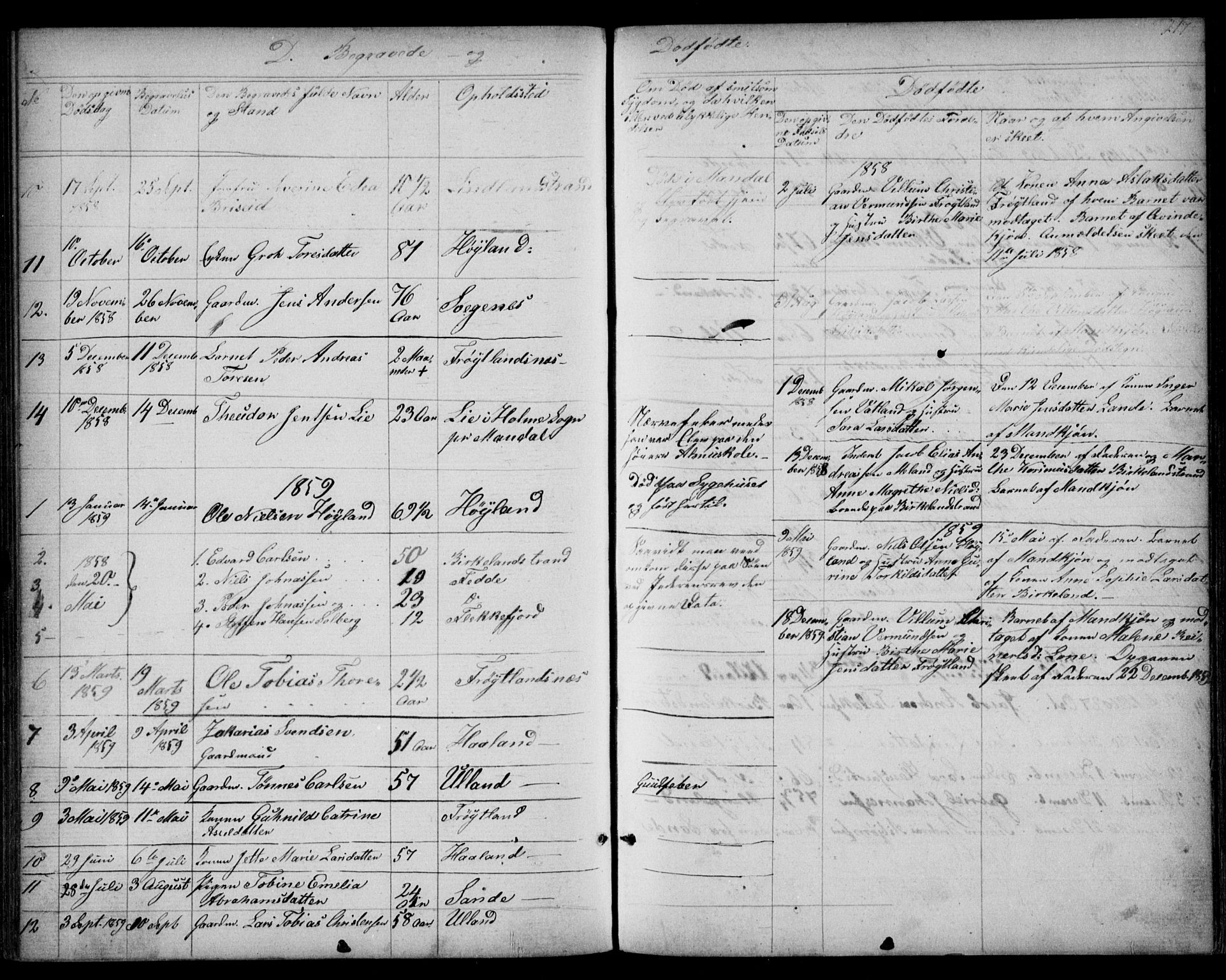 Kvinesdal sokneprestkontor, AV/SAK-1111-0026/F/Fb/Fba/L0003: Klokkerbok nr. B 3, 1858-1893, s. 217