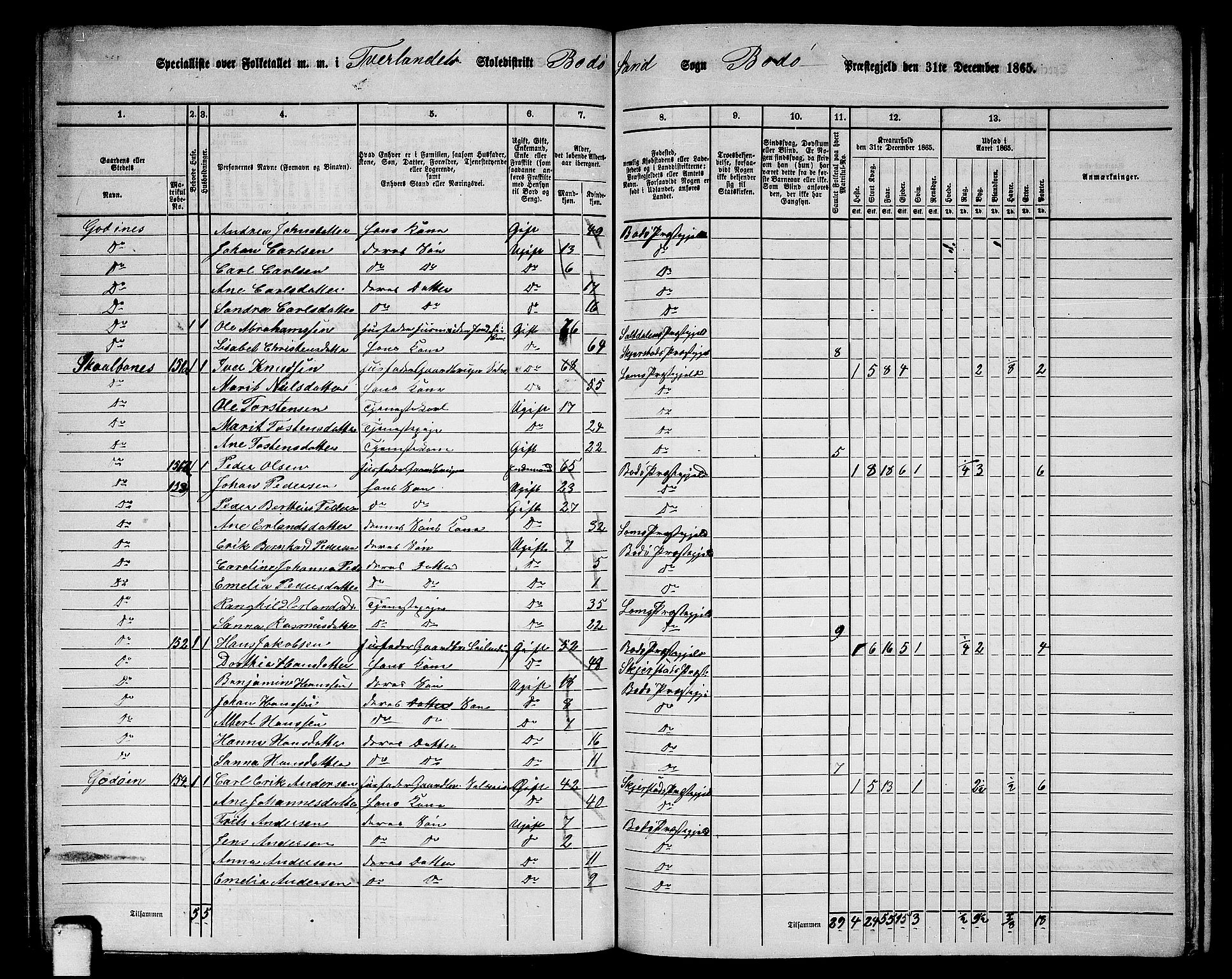 RA, Folketelling 1865 for 1843L Bodø prestegjeld, Bodø landsokn, 1865, s. 88