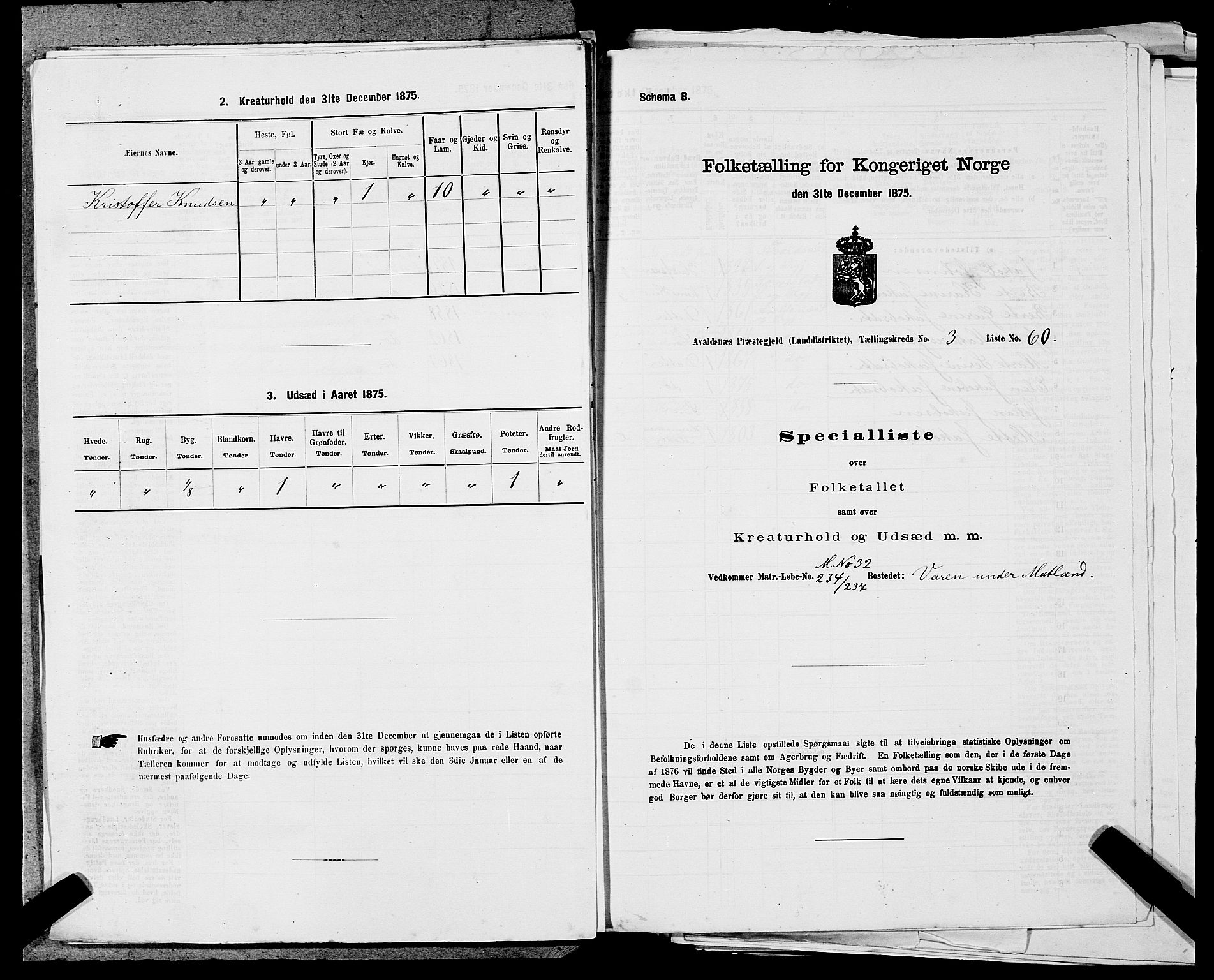 SAST, Folketelling 1875 for 1147L Avaldsnes prestegjeld, Avaldsnes sokn og Kopervik landsokn, 1875, s. 478