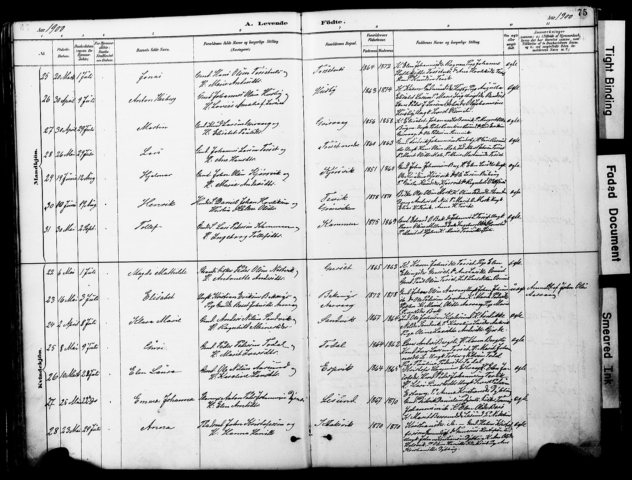 Ministerialprotokoller, klokkerbøker og fødselsregistre - Møre og Romsdal, AV/SAT-A-1454/578/L0907: Ministerialbok nr. 578A06, 1887-1904, s. 75