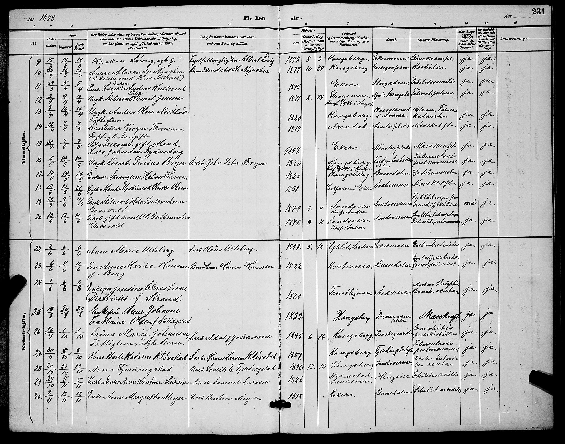 Kongsberg kirkebøker, AV/SAKO-A-22/G/Ga/L0006: Klokkerbok nr. 6, 1890-1901, s. 231