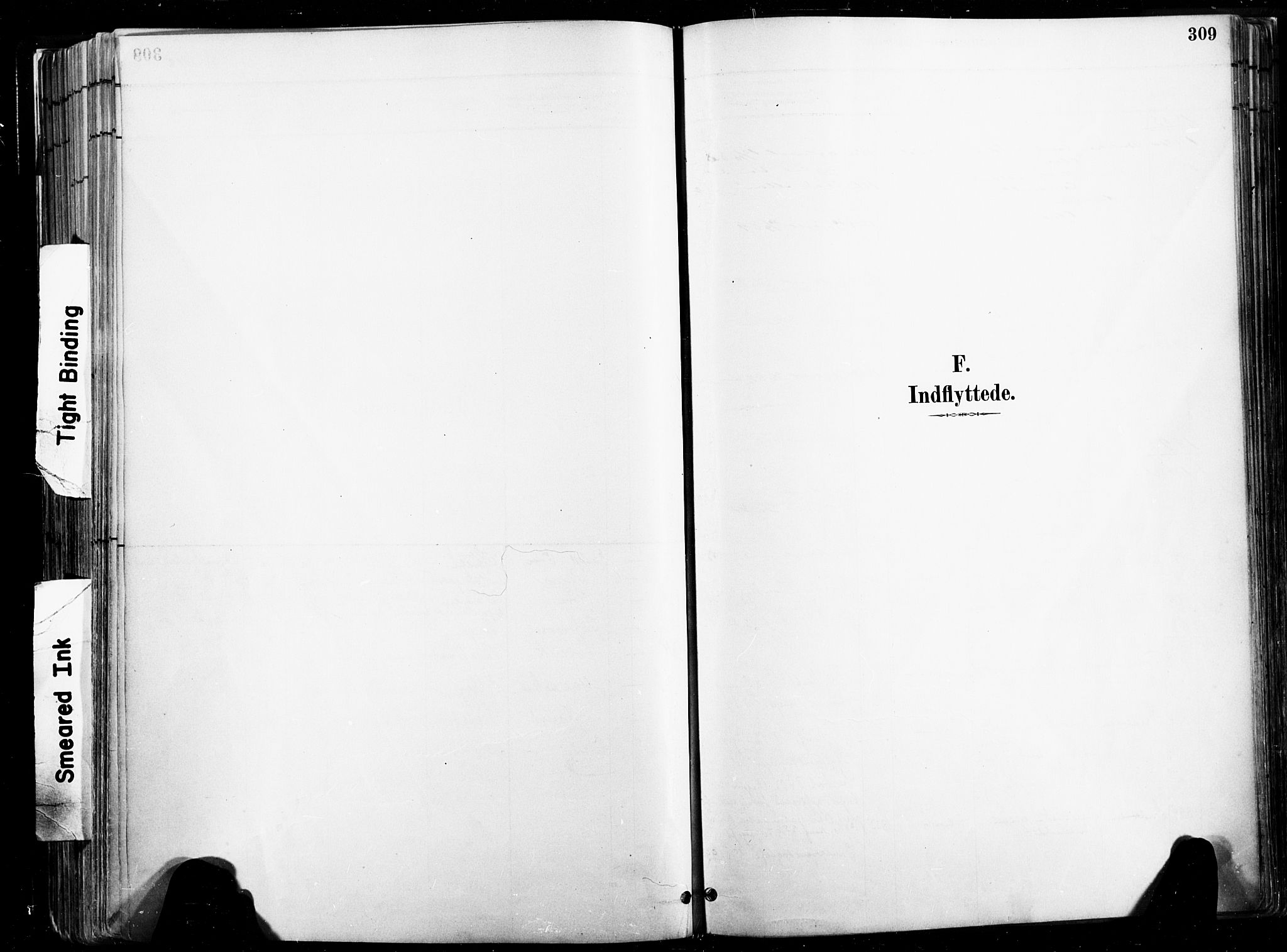 Ministerialprotokoller, klokkerbøker og fødselsregistre - Nord-Trøndelag, SAT/A-1458/735/L0351: Ministerialbok nr. 735A10, 1884-1908, s. 309