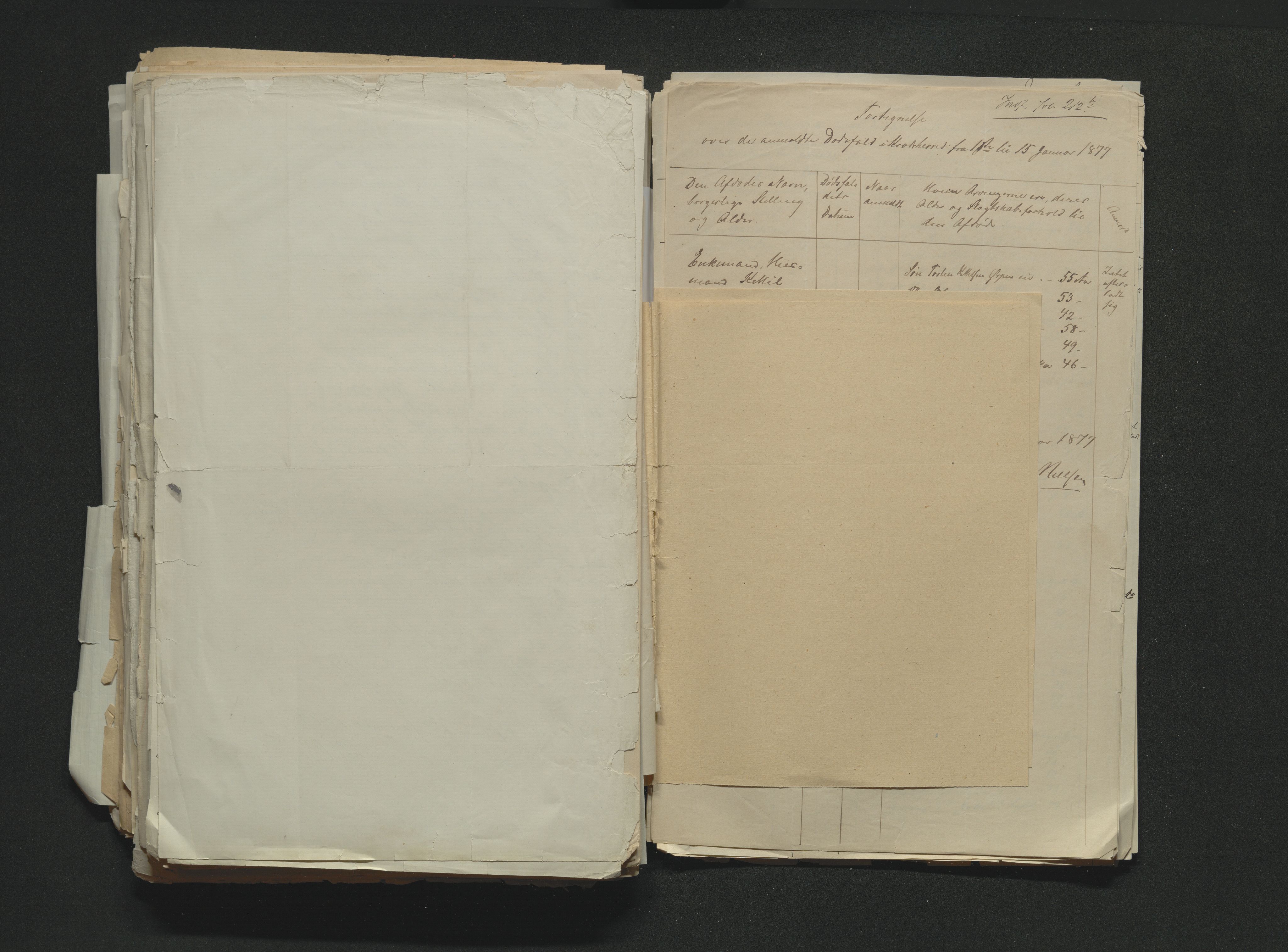 Eiker, Modum og Sigdal sorenskriveri, AV/SAKO-A-123/H/Ha/Hab/L0014: Dødsfallsmeldinger, 1874-1877, s. 729