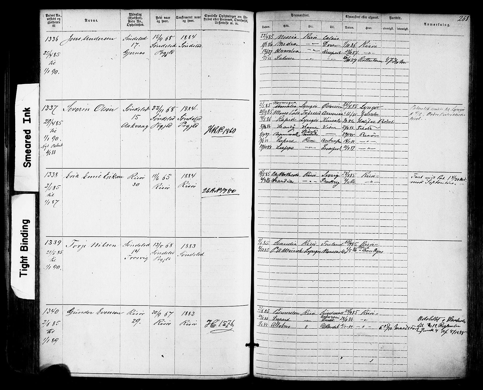 Risør mønstringskrets, AV/SAK-2031-0010/F/Fa/L0003: Annotasjonsrulle nr 1-1913 med register, T-7, 1863-1899, s. 206