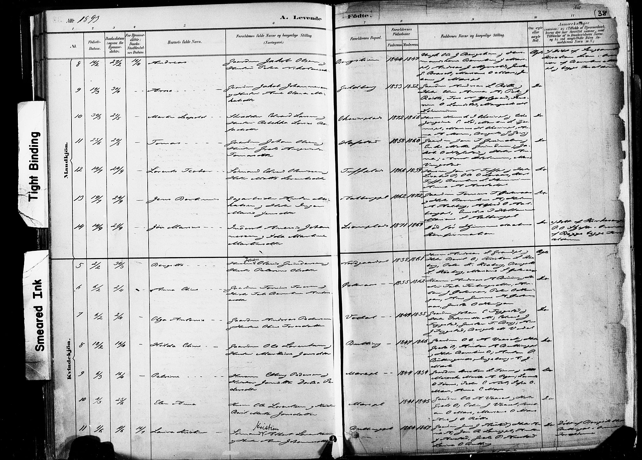 Ministerialprotokoller, klokkerbøker og fødselsregistre - Nord-Trøndelag, SAT/A-1458/735/L0351: Ministerialbok nr. 735A10, 1884-1908, s. 38