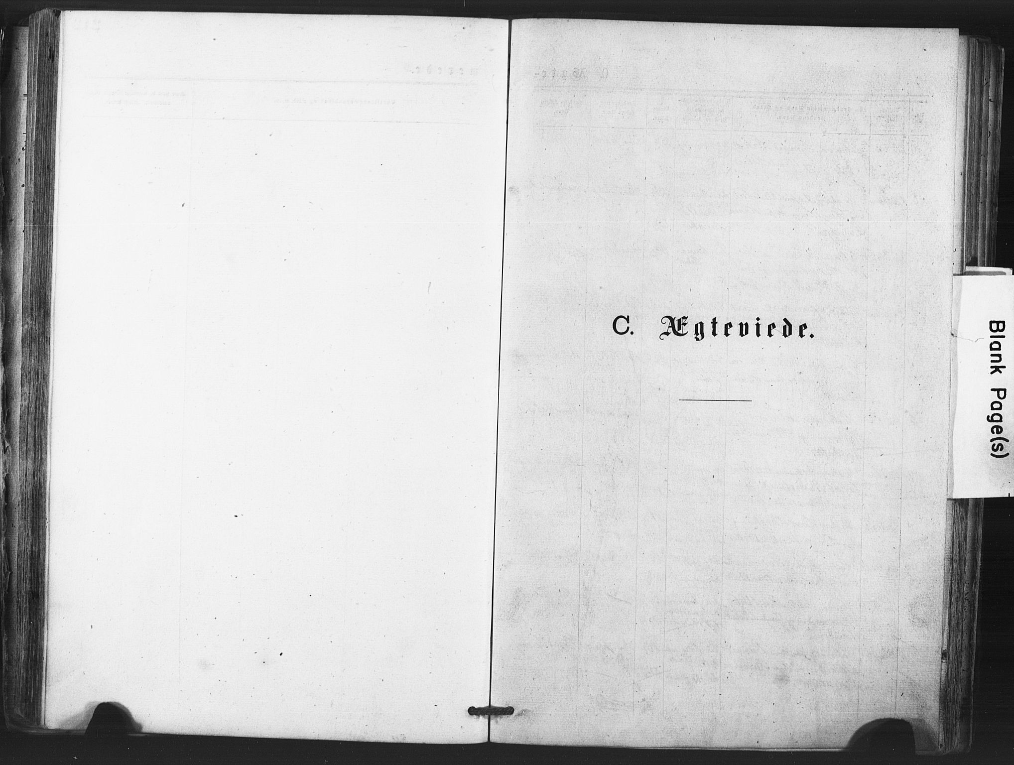 Tjølling kirkebøker, SAKO/A-60/F/Fa/L0008: Ministerialbok nr. 8, 1877-1886