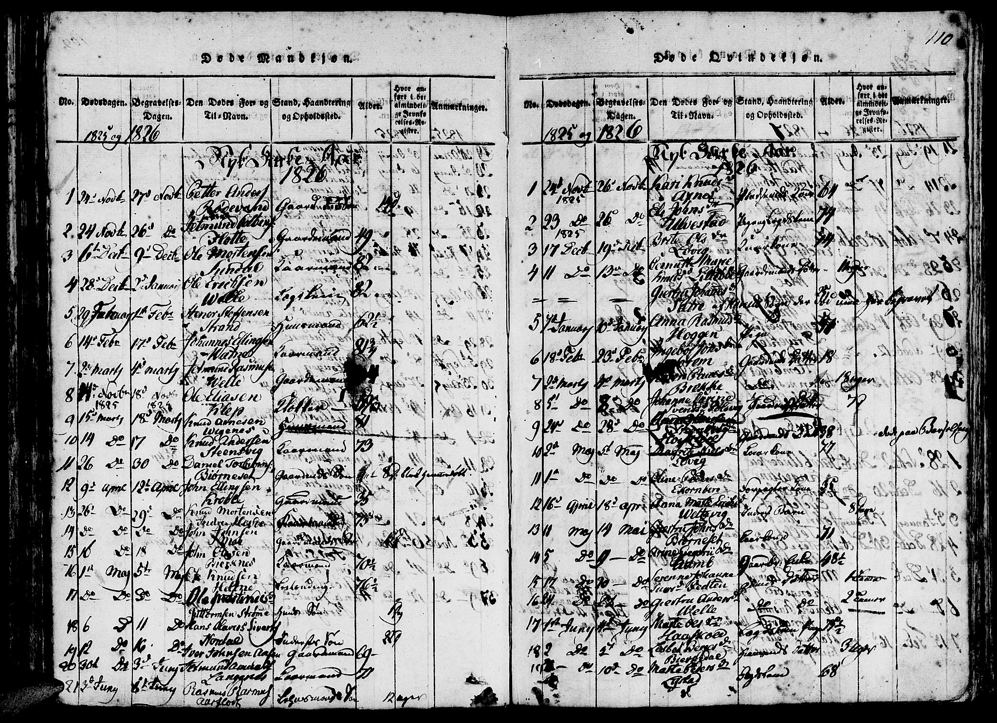 Ministerialprotokoller, klokkerbøker og fødselsregistre - Møre og Romsdal, AV/SAT-A-1454/511/L0138: Ministerialbok nr. 511A05, 1817-1832, s. 110