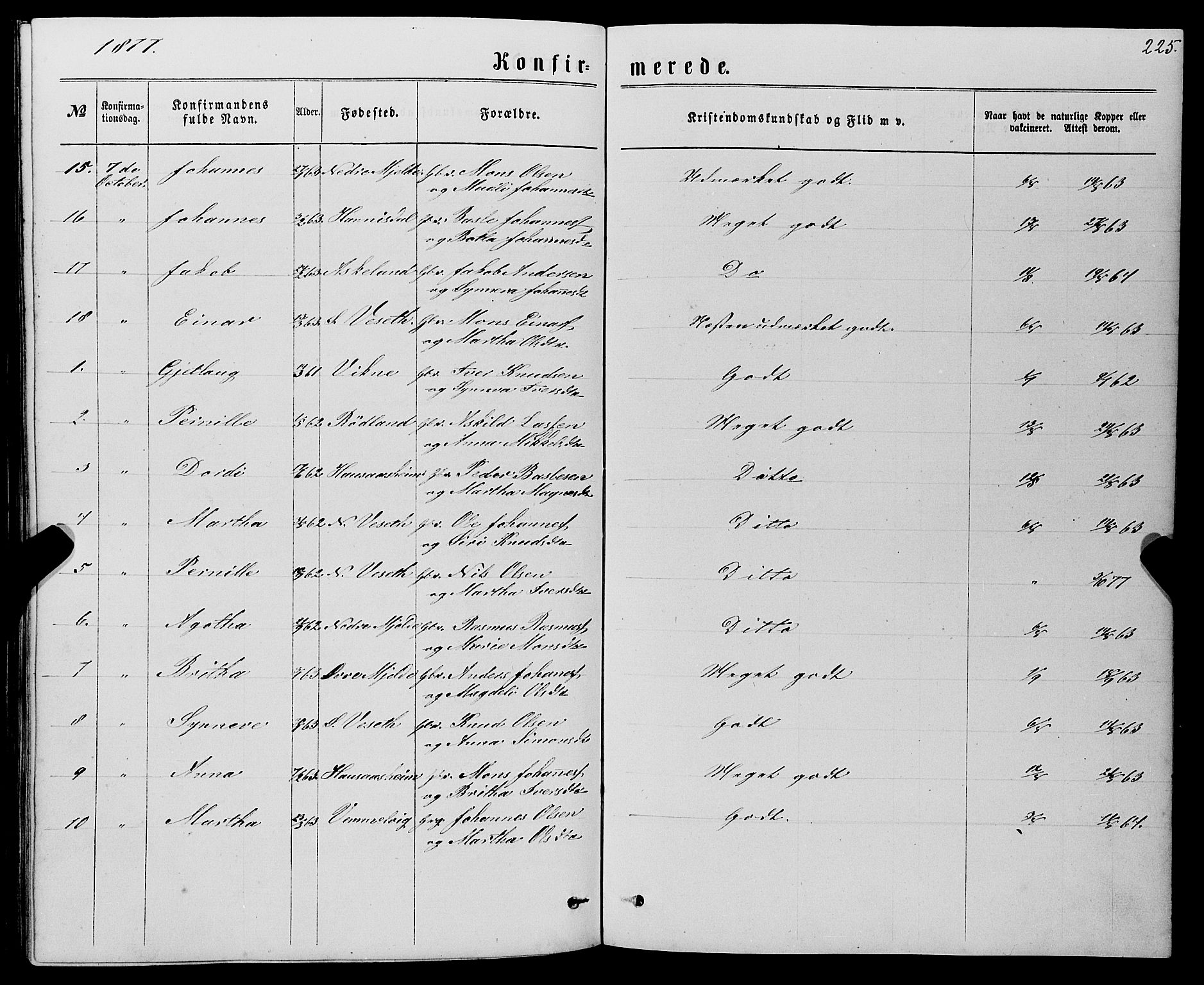 Haus sokneprestembete, AV/SAB-A-75601/H/Haa: Ministerialbok nr. A 18, 1871-1877, s. 225