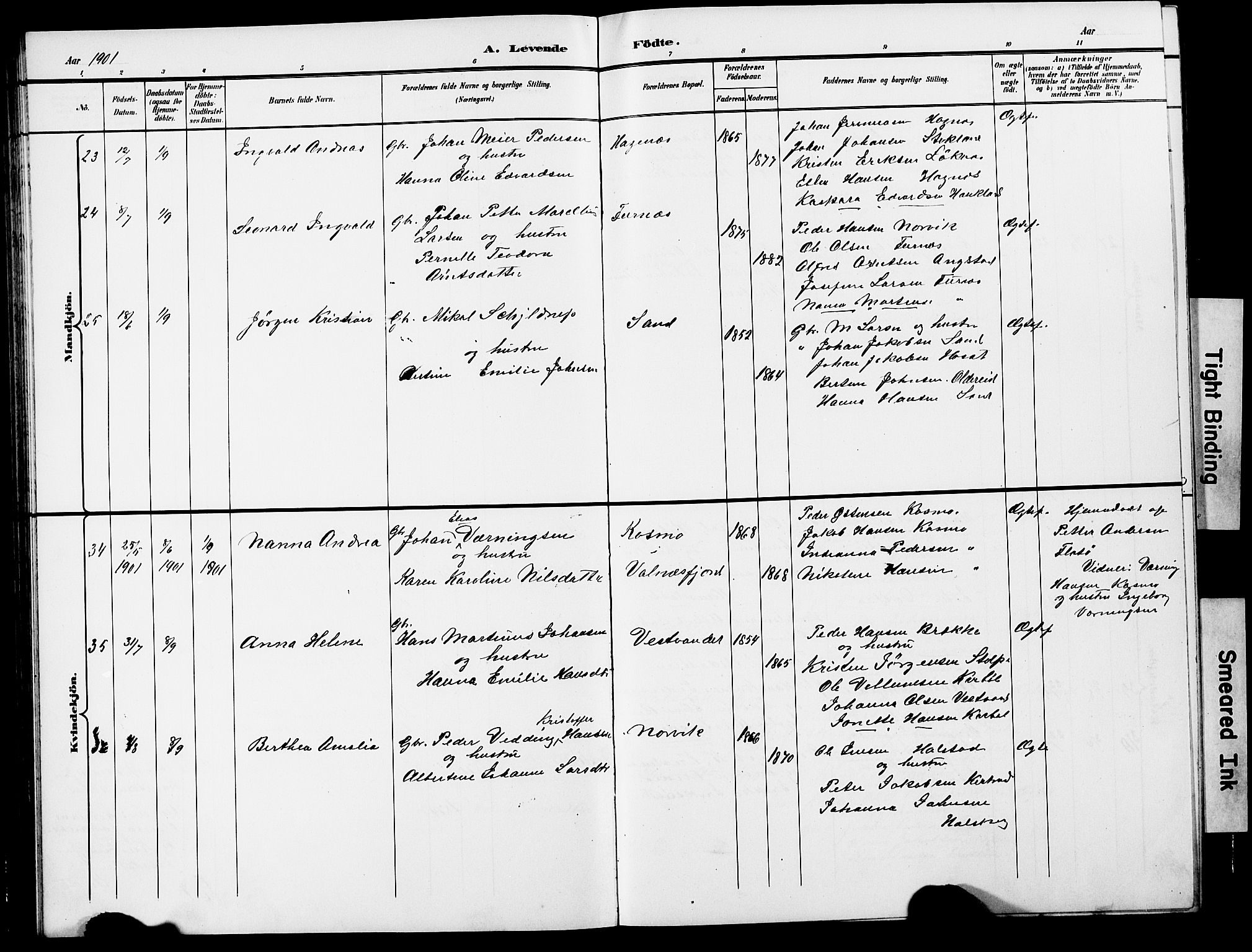 Ministerialprotokoller, klokkerbøker og fødselsregistre - Nordland, AV/SAT-A-1459/852/L0755: Klokkerbok nr. 852C06, 1895-1902