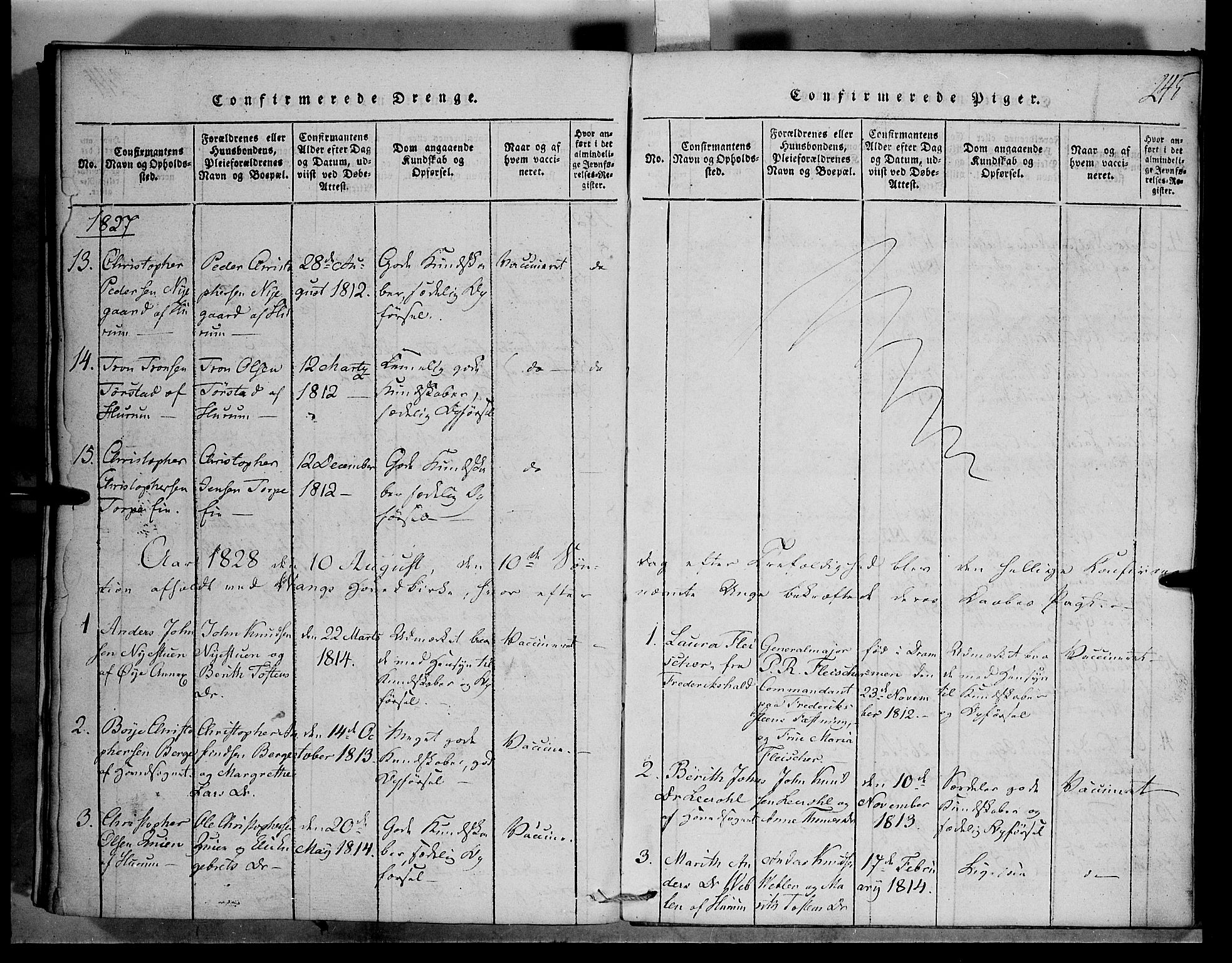 Vang prestekontor, Valdres, AV/SAH-PREST-140/H/Hb/L0001: Klokkerbok nr. 1, 1814-1820, s. 245
