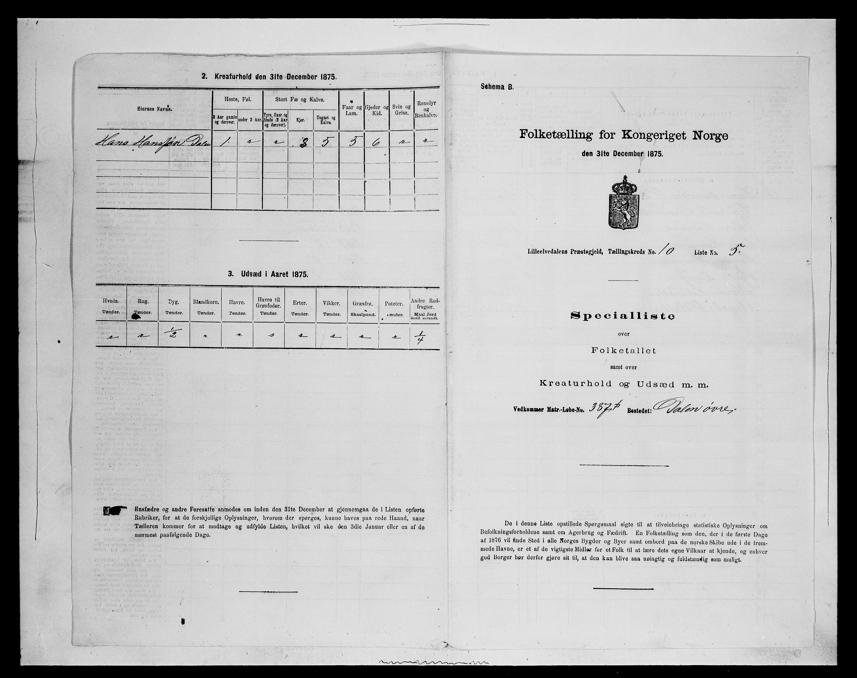 SAH, Folketelling 1875 for 0438P Lille Elvedalen (Alvdal) prestegjeld, 1875, s. 961