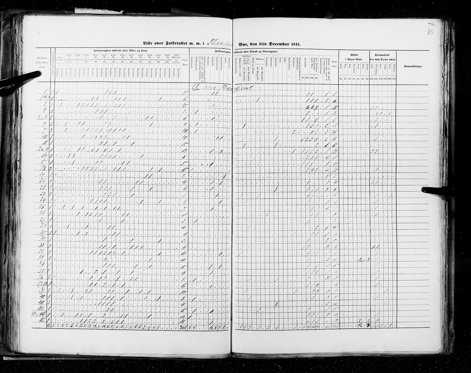 RA, Folketellingen 1845, bind 11: Kjøp- og ladesteder, 1845, s. 115