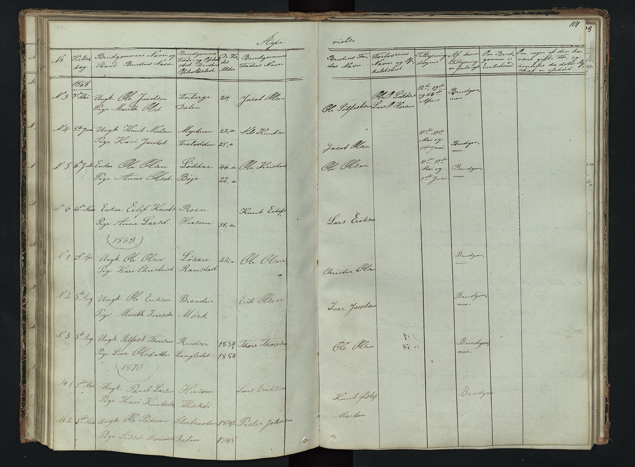 Skjåk prestekontor, AV/SAH-PREST-072/H/Ha/Hab/L0002: Klokkerbok nr. 2, 1867-1894, s. 101