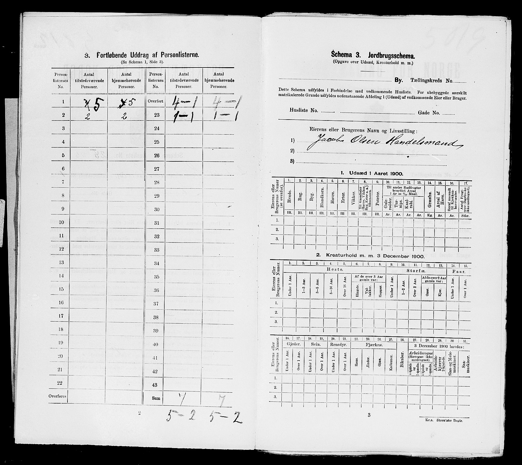 SAST, Folketelling 1900 for 1104 Skudeneshavn ladested, 1900, s. 31