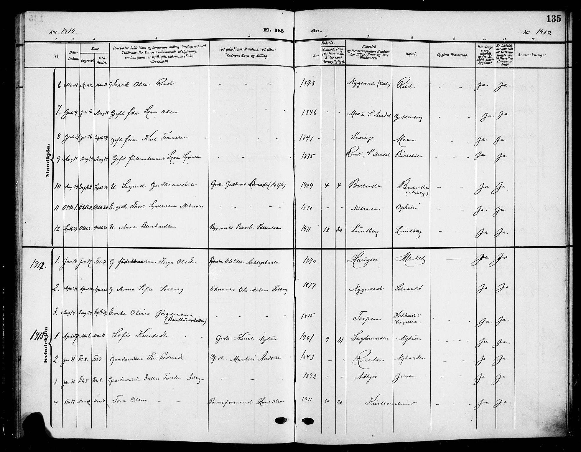 Nord-Aurdal prestekontor, AV/SAH-PREST-132/H/Ha/Hab/L0012: Klokkerbok nr. 12, 1907-1920, s. 135