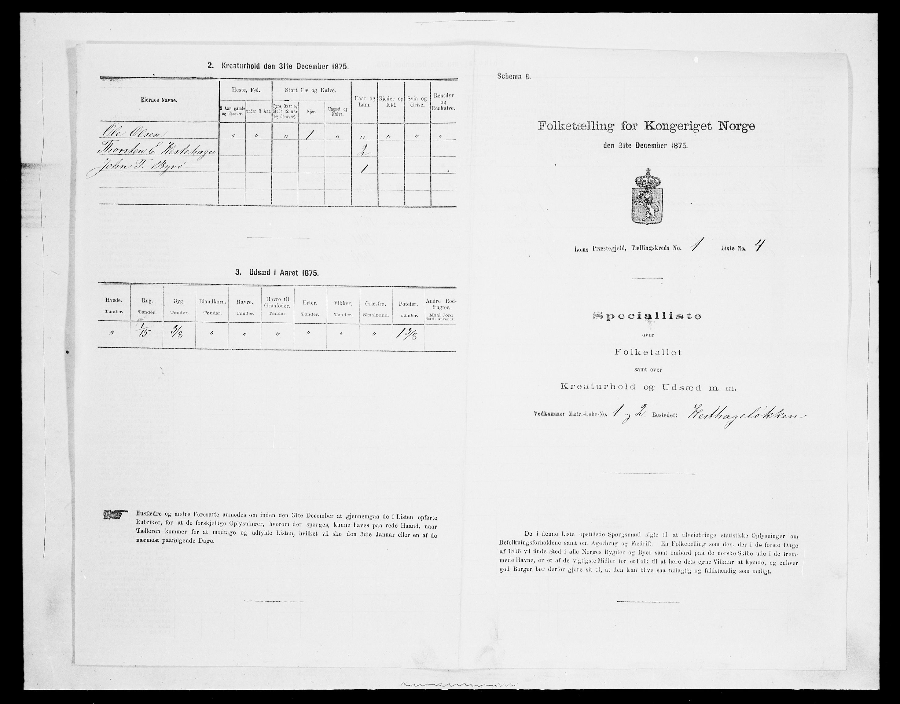SAH, Folketelling 1875 for 0514P Lom prestegjeld, 1875, s. 67