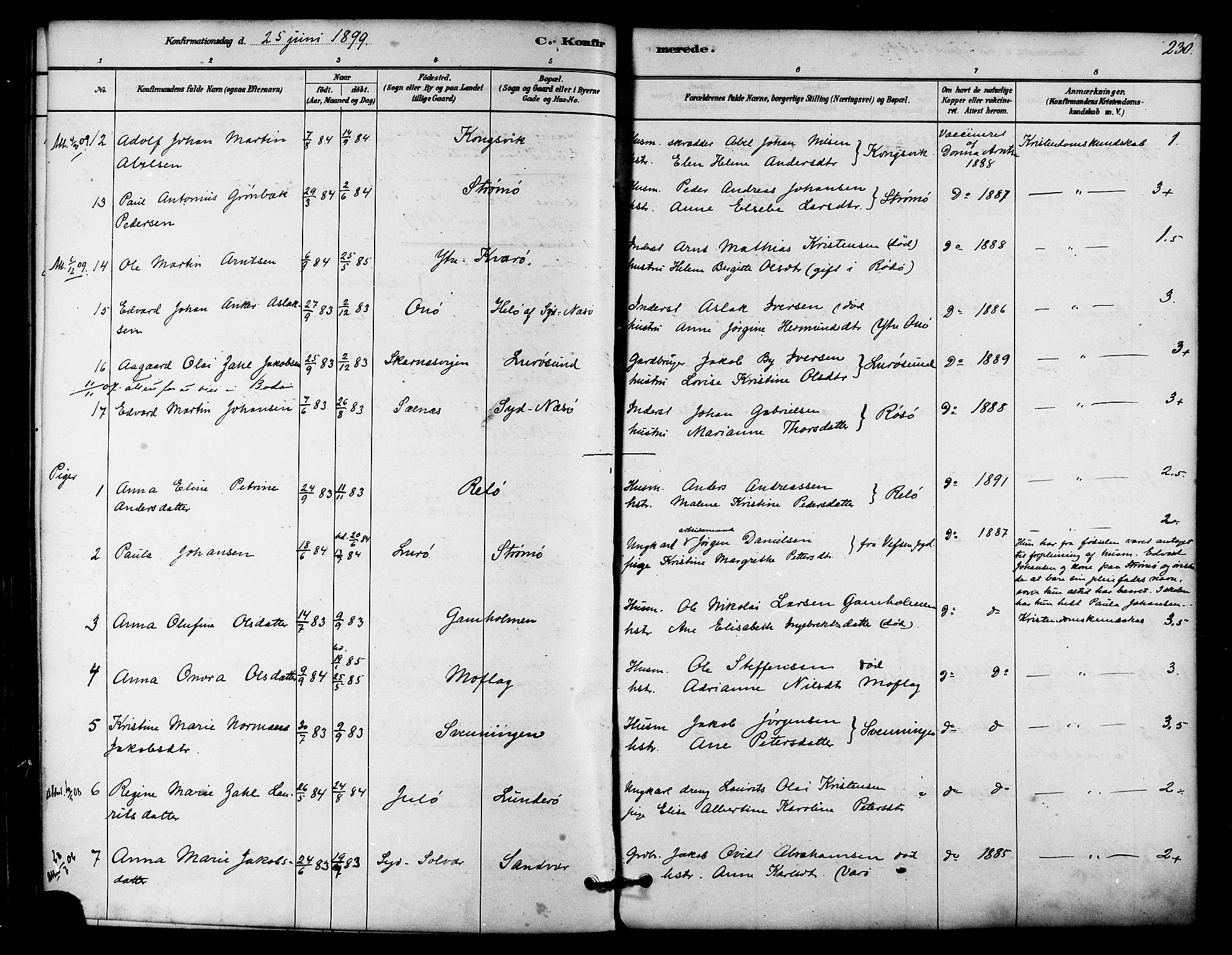 Ministerialprotokoller, klokkerbøker og fødselsregistre - Nordland, AV/SAT-A-1459/839/L0568: Ministerialbok nr. 839A05, 1880-1902, s. 230