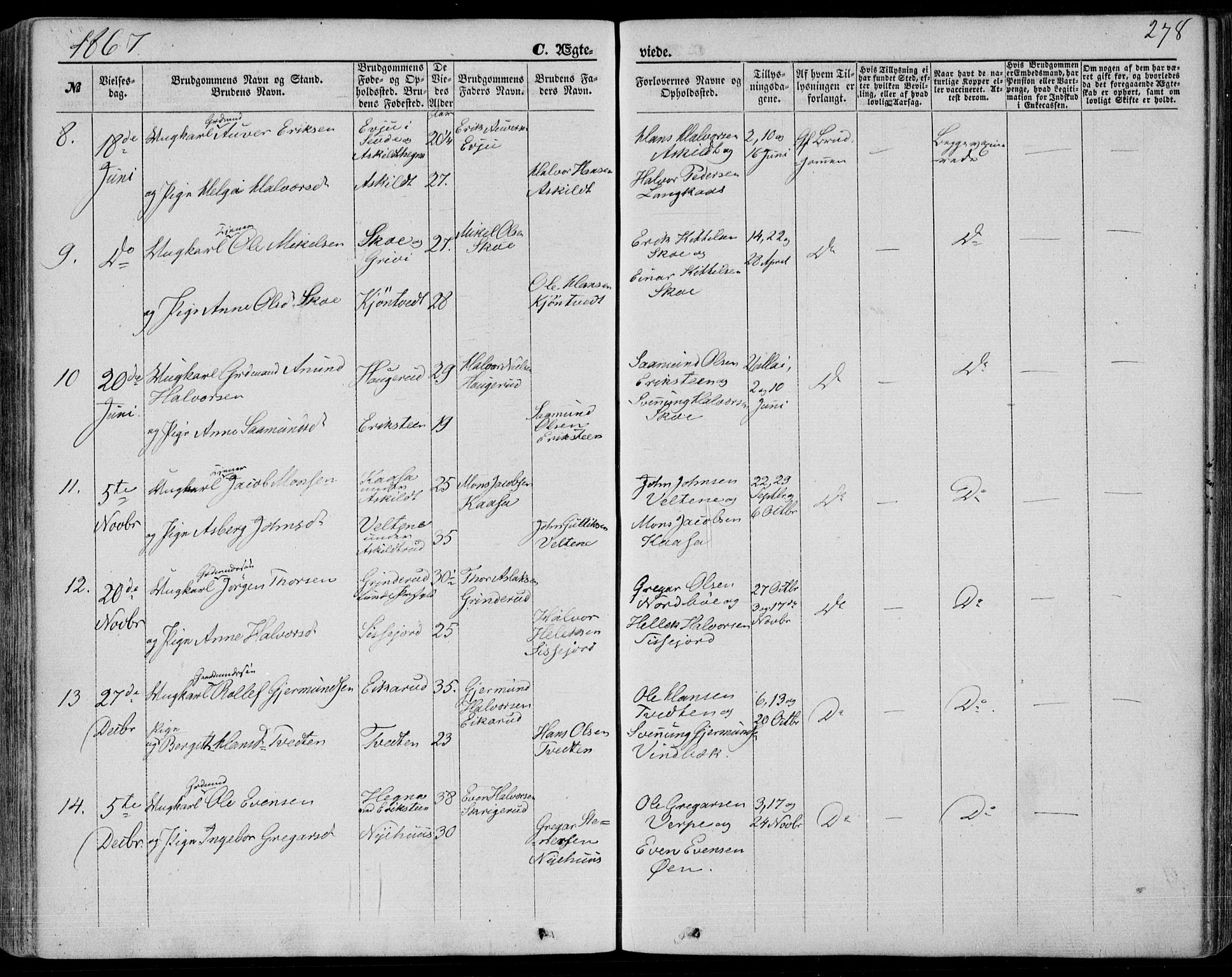 Bø kirkebøker, AV/SAKO-A-257/F/Fa/L0009: Ministerialbok nr. 9, 1862-1879, s. 278