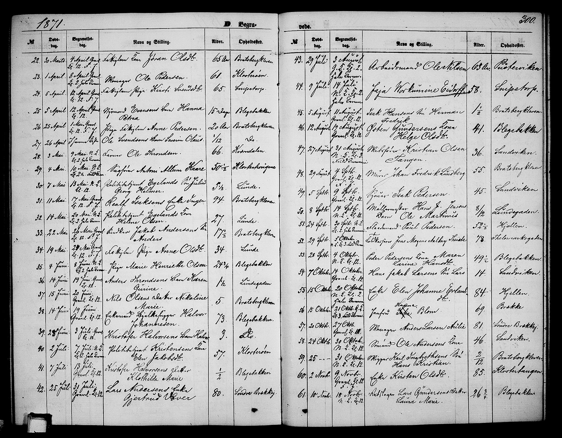 Skien kirkebøker, AV/SAKO-A-302/G/Ga/L0005: Klokkerbok nr. 5, 1868-1880, s. 300