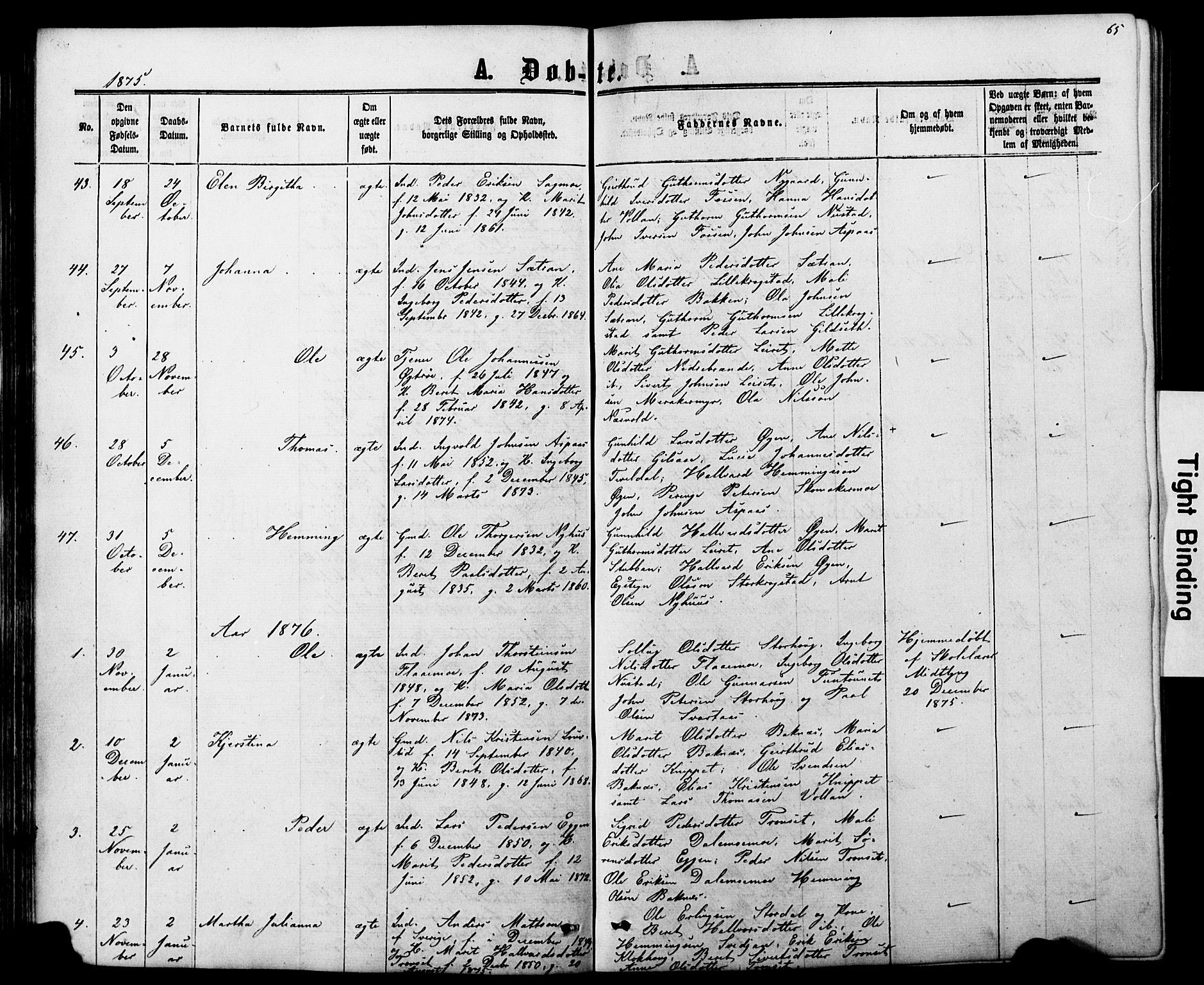 Ministerialprotokoller, klokkerbøker og fødselsregistre - Nord-Trøndelag, SAT/A-1458/706/L0049: Klokkerbok nr. 706C01, 1864-1895, s. 65