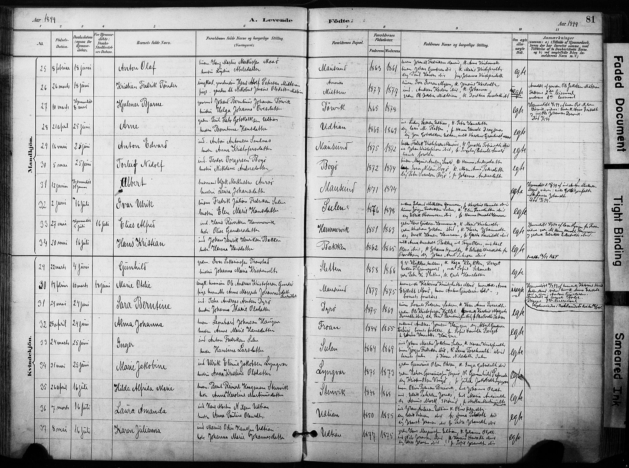 Ministerialprotokoller, klokkerbøker og fødselsregistre - Sør-Trøndelag, SAT/A-1456/640/L0579: Ministerialbok nr. 640A04, 1889-1902, s. 81