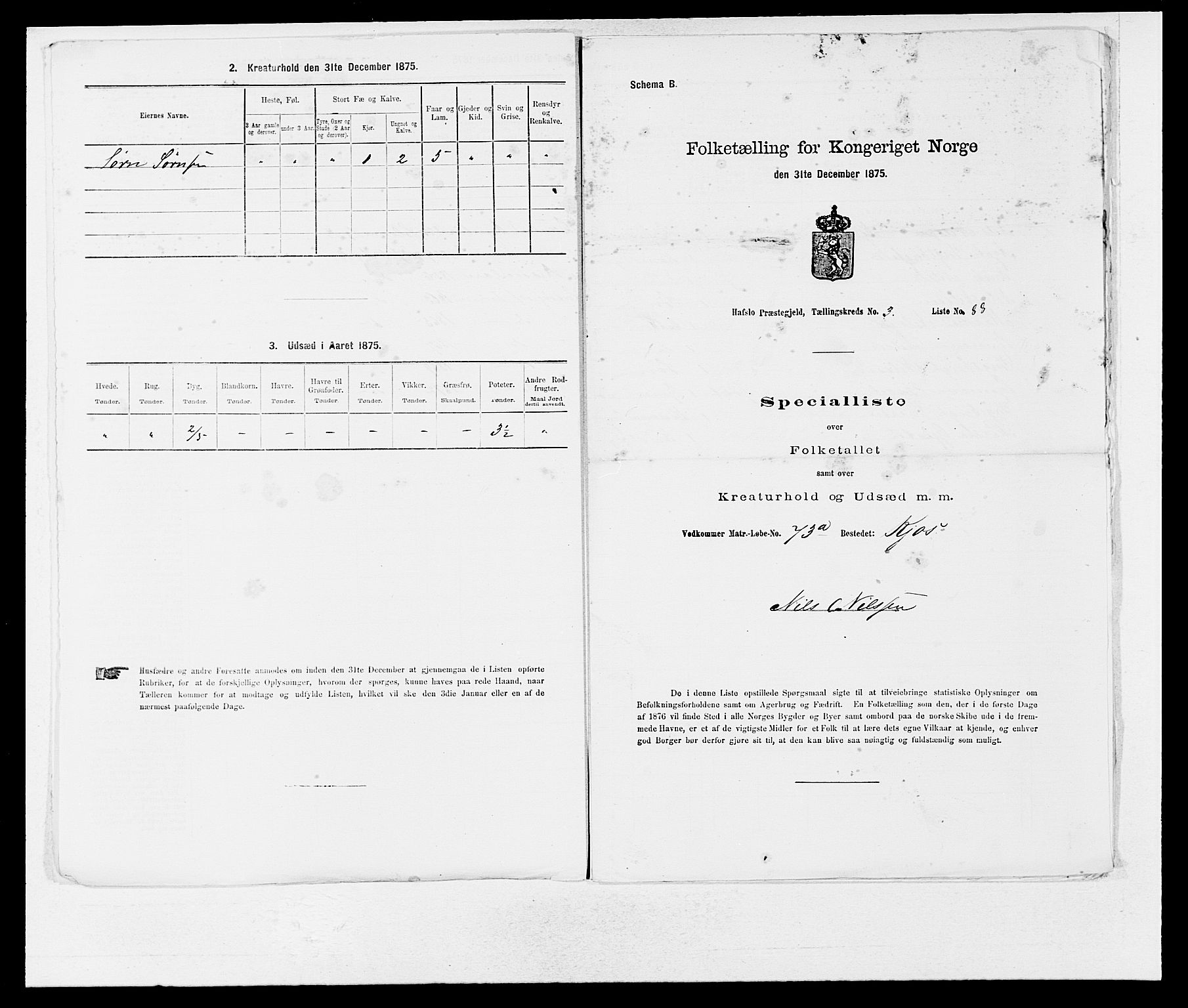 SAB, Folketelling 1875 for 1425P Hafslo prestegjeld, 1875, s. 448