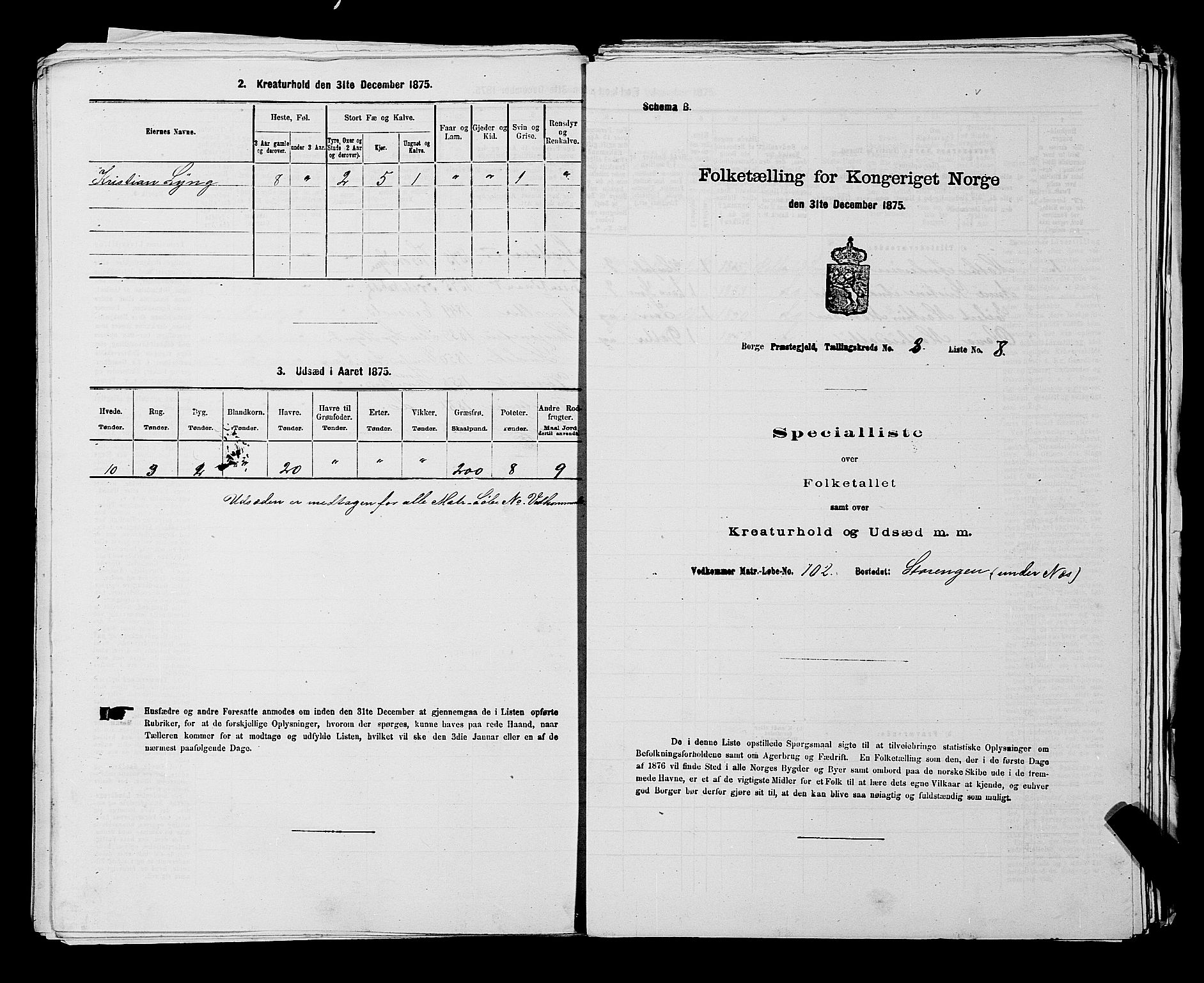 RA, Folketelling 1875 for 0113P Borge prestegjeld, 1875, s. 1118