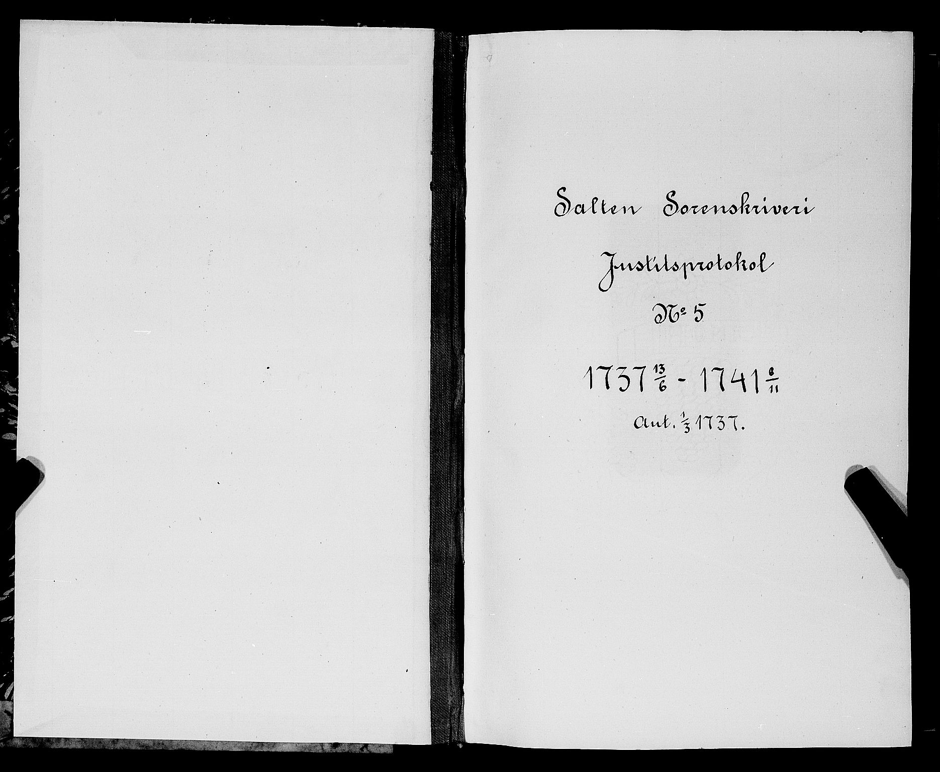 Salten sorenskriveri, SAT/A-4578/1/1/1A/L0005: Tingbok, 1736-1741