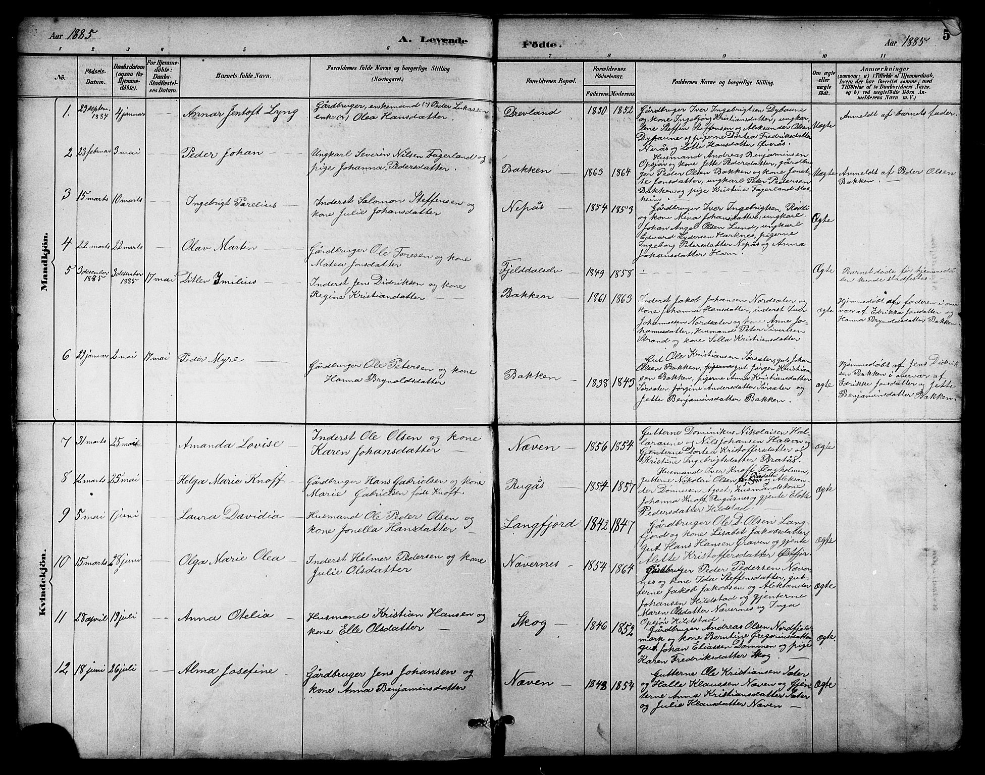 Ministerialprotokoller, klokkerbøker og fødselsregistre - Nordland, AV/SAT-A-1459/814/L0230: Klokkerbok nr. 814C03, 1884-1911, s. 5