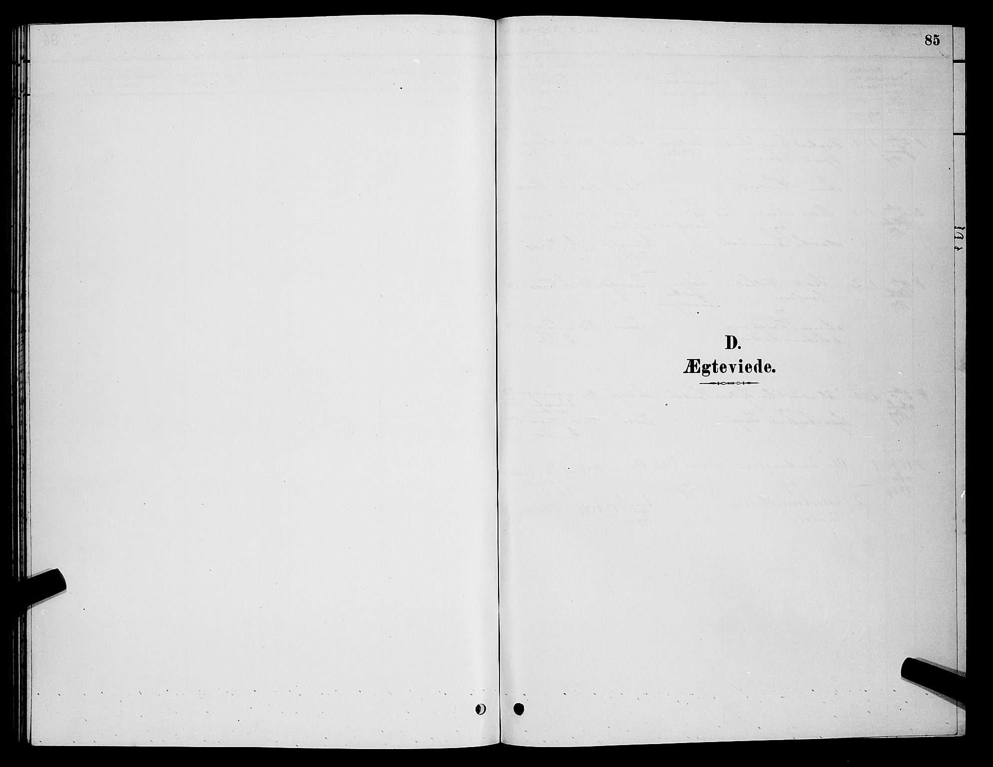 Vardø sokneprestkontor, AV/SATØ-S-1332/H/Hb/L0006klokker: Klokkerbok nr. 6, 1879-1887, s. 85