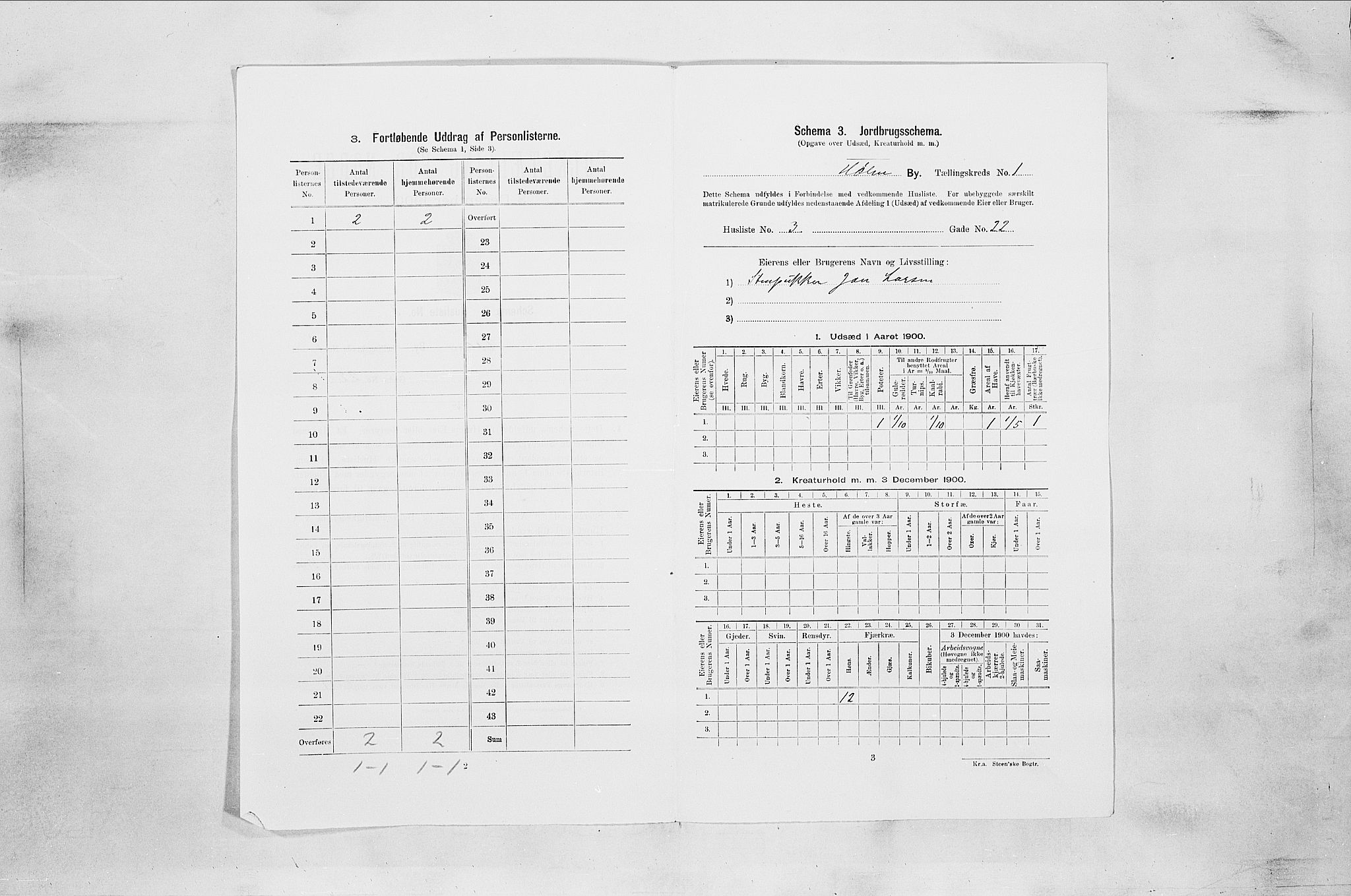 SAO, Folketelling 1900 for 0204 Hølen ladested, 1900
