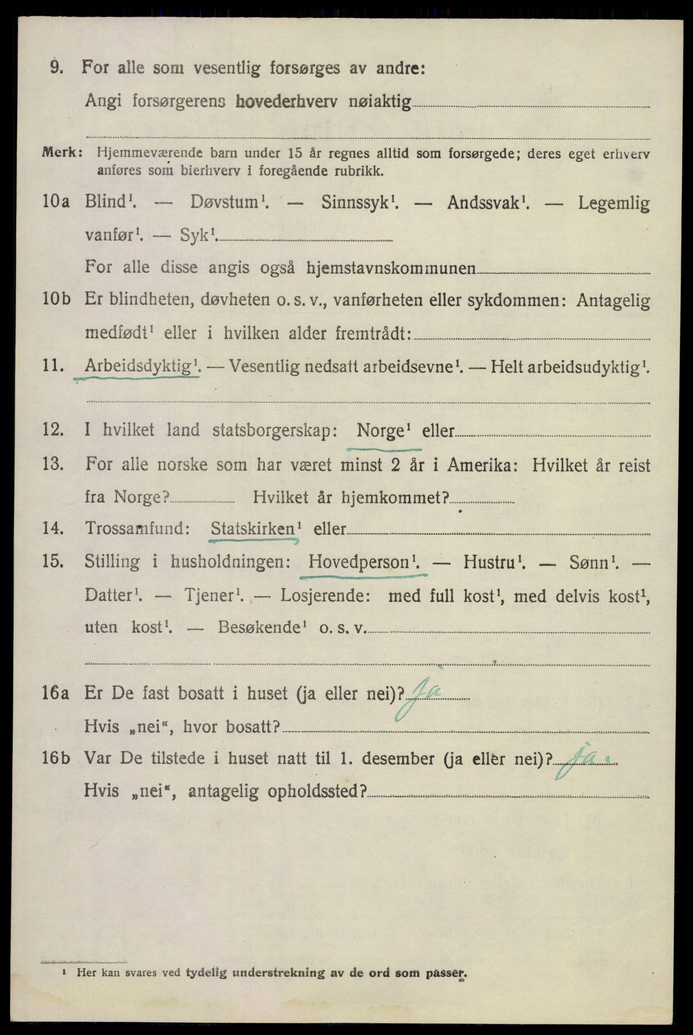 SAKO, Folketelling 1920 for 0815 Skåtøy herred, 1920, s. 6509