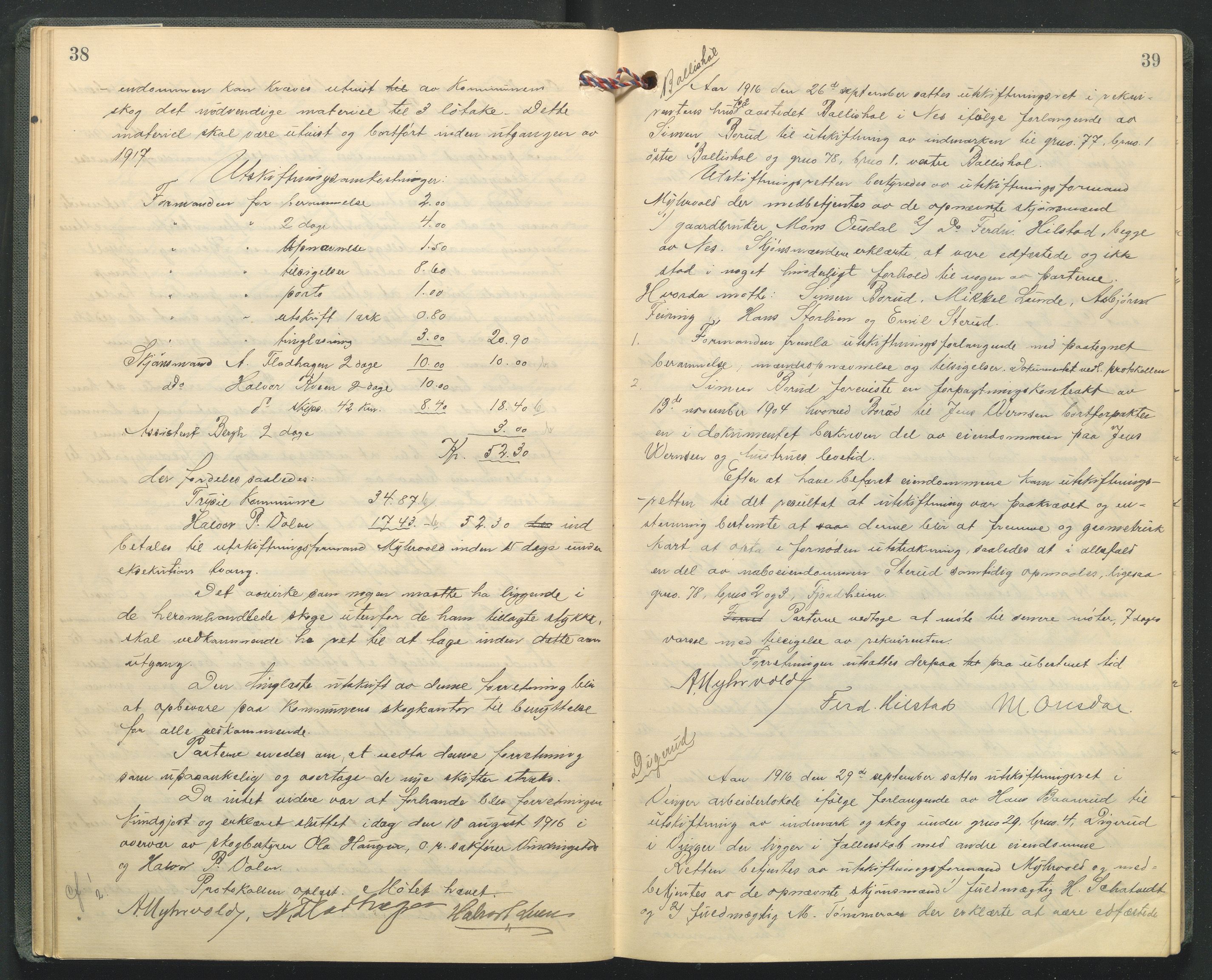 Hedmark og Østerdal jordskifterett, AV/SAH-JORDSKIFTEH-002/G/Ga/L0005/0001: Rettsbøker / Rettsbok - O, 1916-1921, s. 38-39