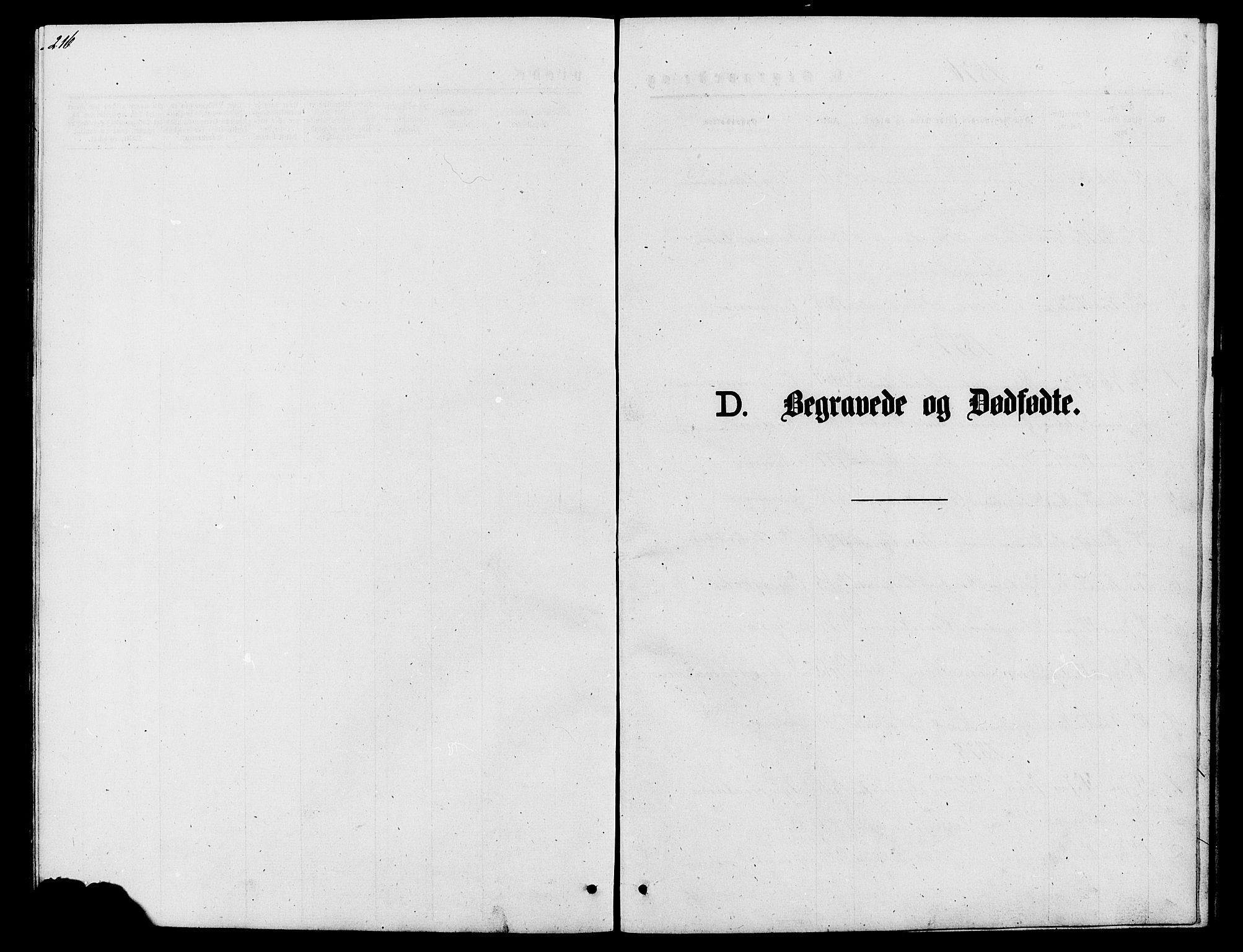 Lom prestekontor, SAH/PREST-070/L/L0005: Klokkerbok nr. 5, 1876-1901, s. 216-217