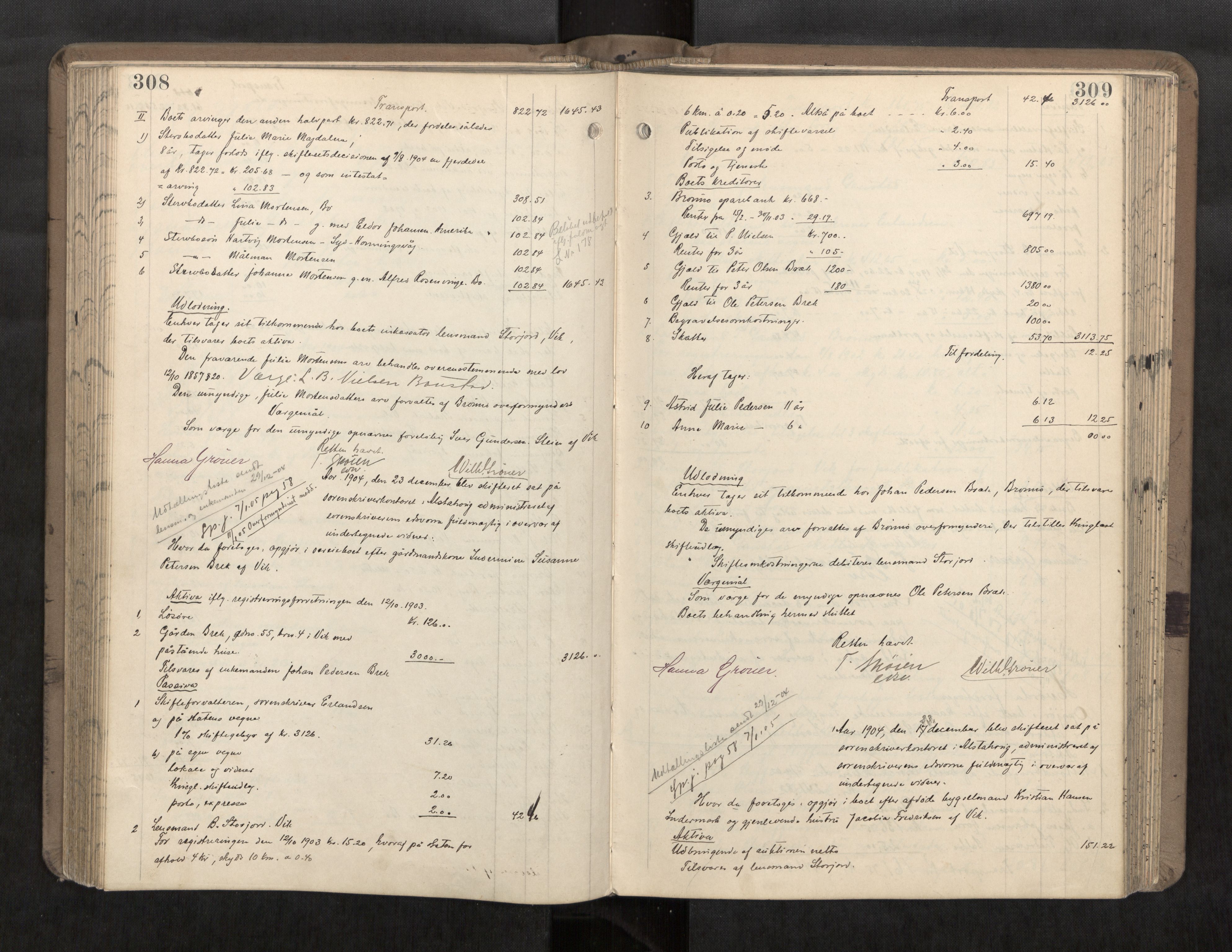 Søndre Helgeland sorenskriveri, AV/SAT-A-4575/1/3/3A/L0007: Skifteutlodningsprot., 1902-1907, s. 308-309