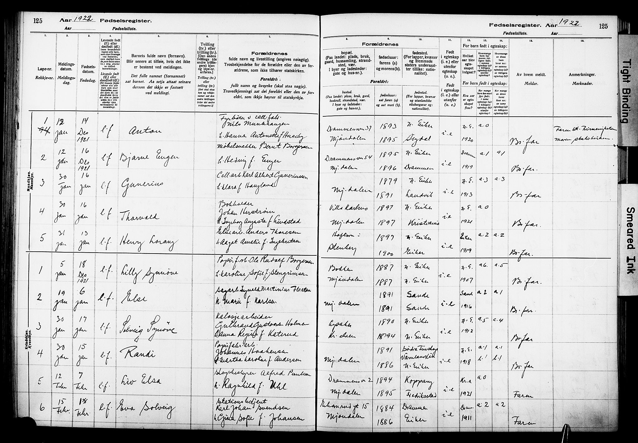 Nedre Eiker kirkebøker, AV/SAKO-A-612/J/Ja/L0001: Fødselsregister nr. 1, 1916-1925, s. 125