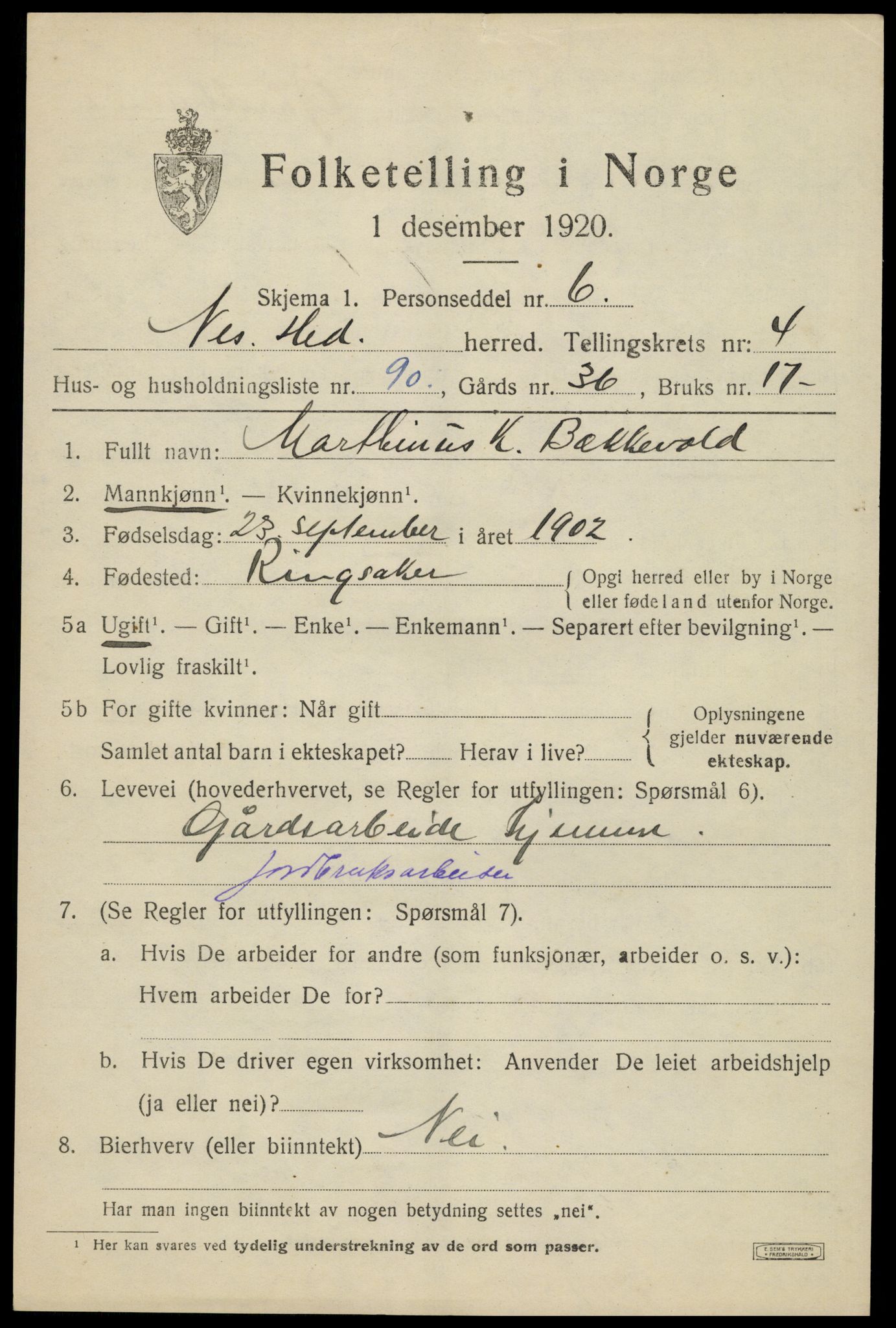 SAH, Folketelling 1920 for 0411 Nes herred, 1920, s. 6600