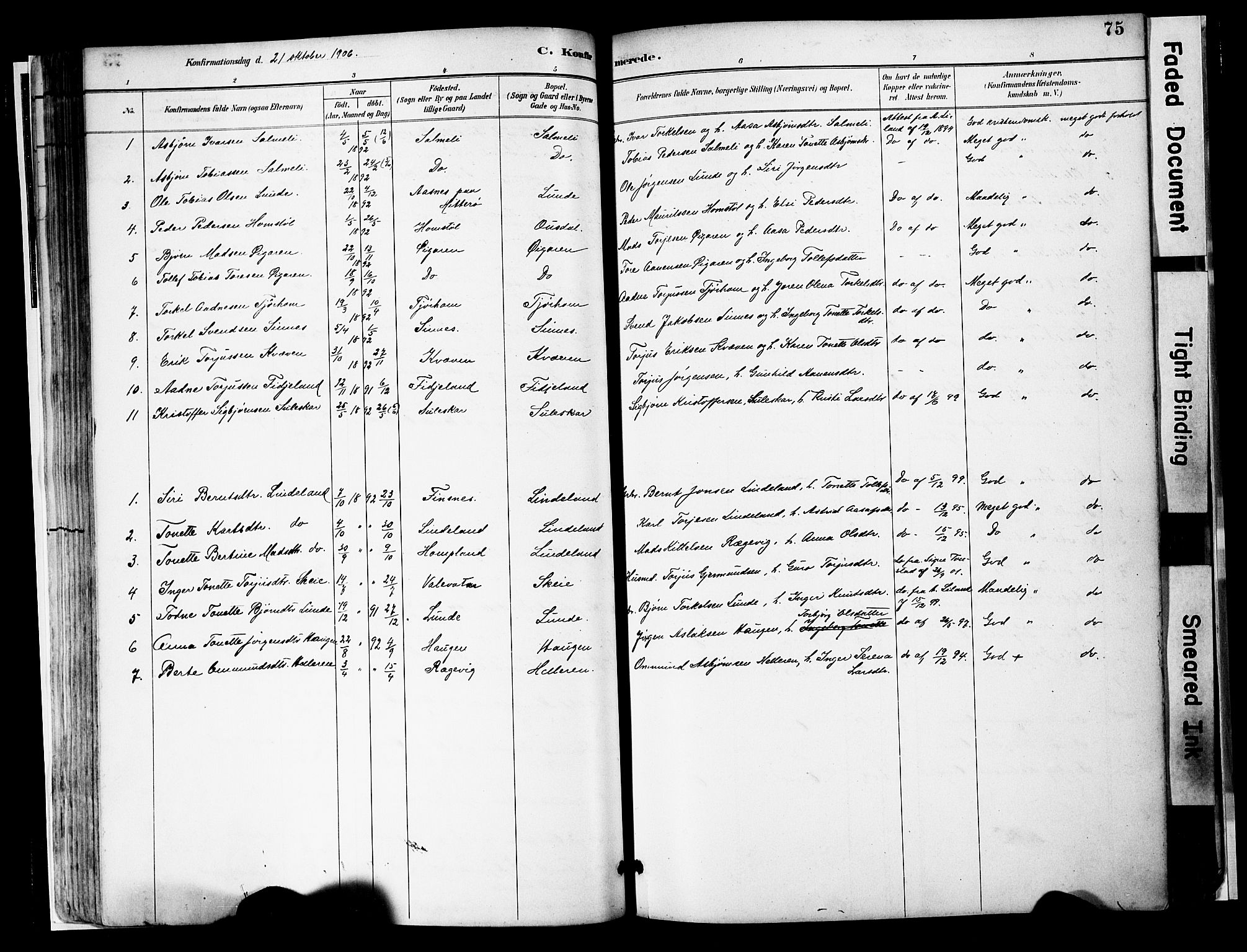 Sirdal sokneprestkontor, AV/SAK-1111-0036/F/Fa/Faa/L0001: Ministerialbok nr. A 1, 1887-1910, s. 75