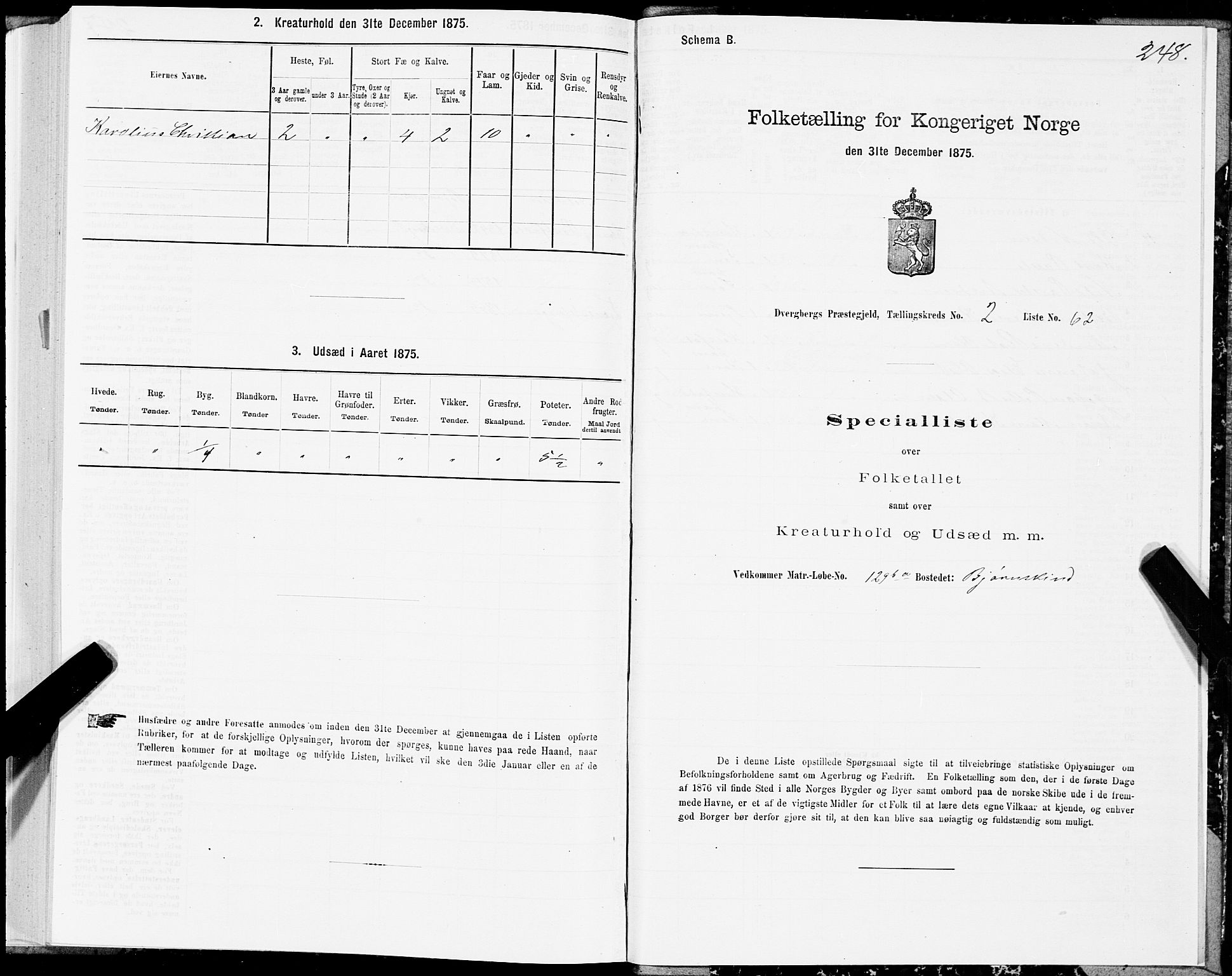 SAT, Folketelling 1875 for 1872P Dverberg prestegjeld, 1875, s. 1248