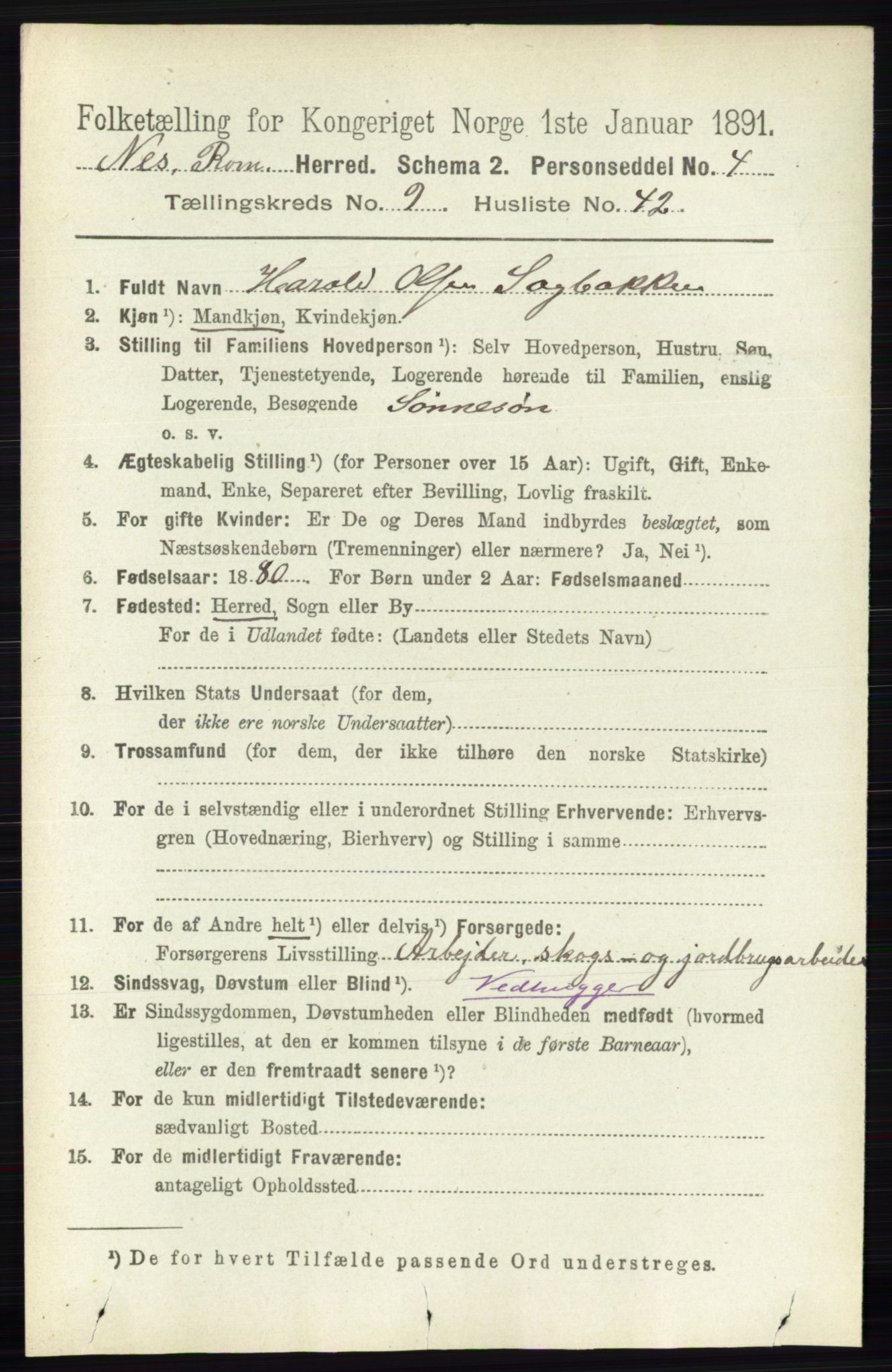 RA, Folketelling 1891 for 0236 Nes herred, 1891, s. 5549